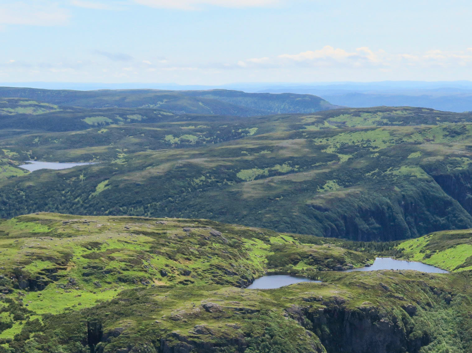 Marble | (Gros Morne National Park)
