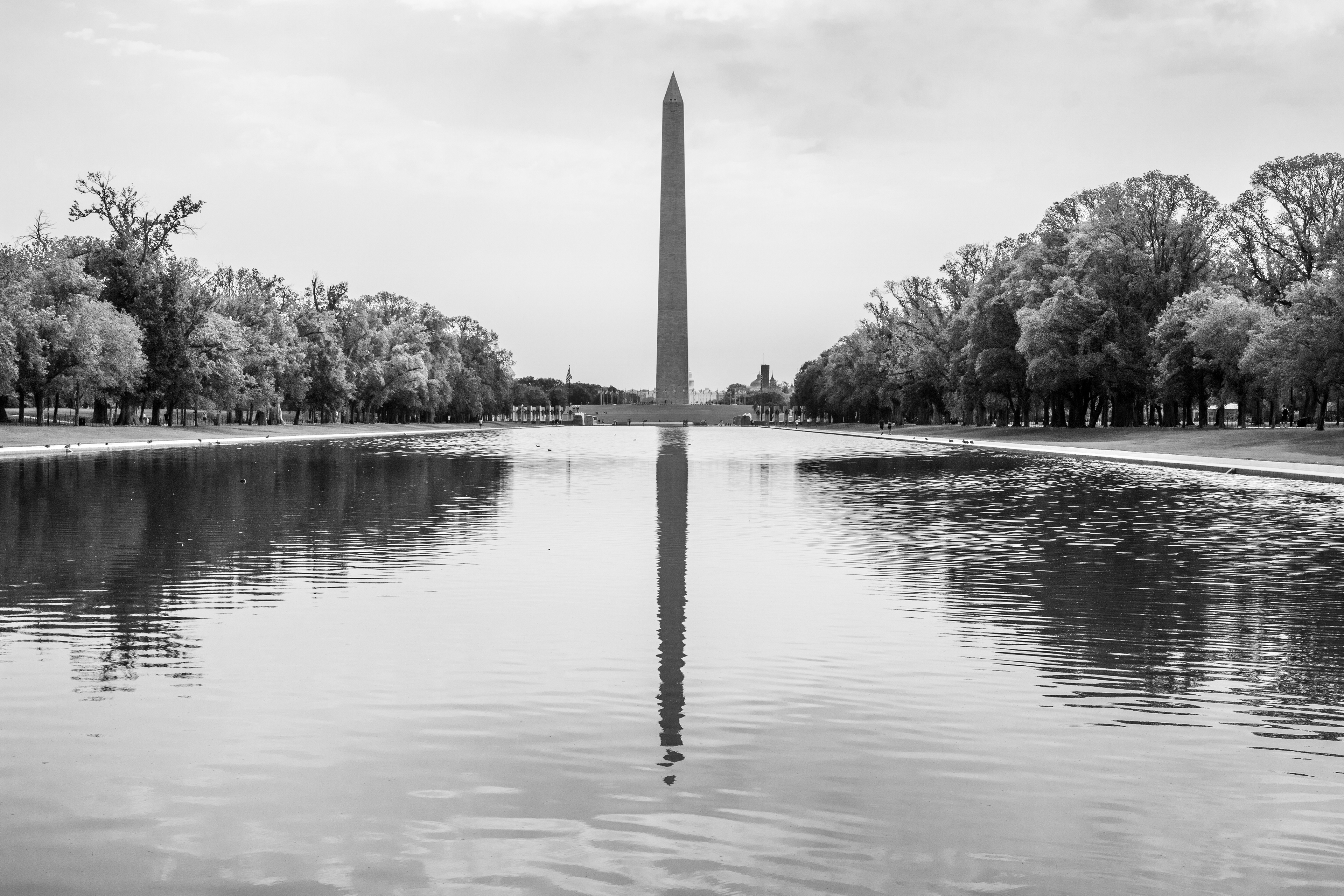 American Reflection | (Lincoln Memorial Reflecting Pool)