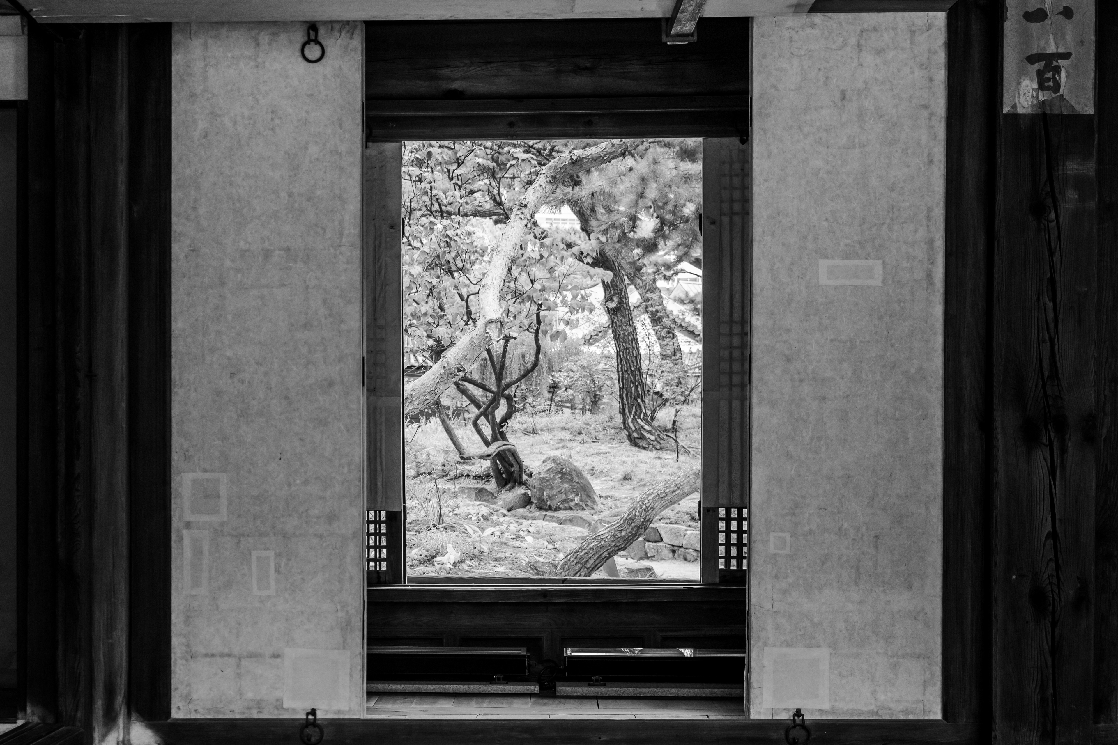 Window Frame | (Seoul, South Korea)