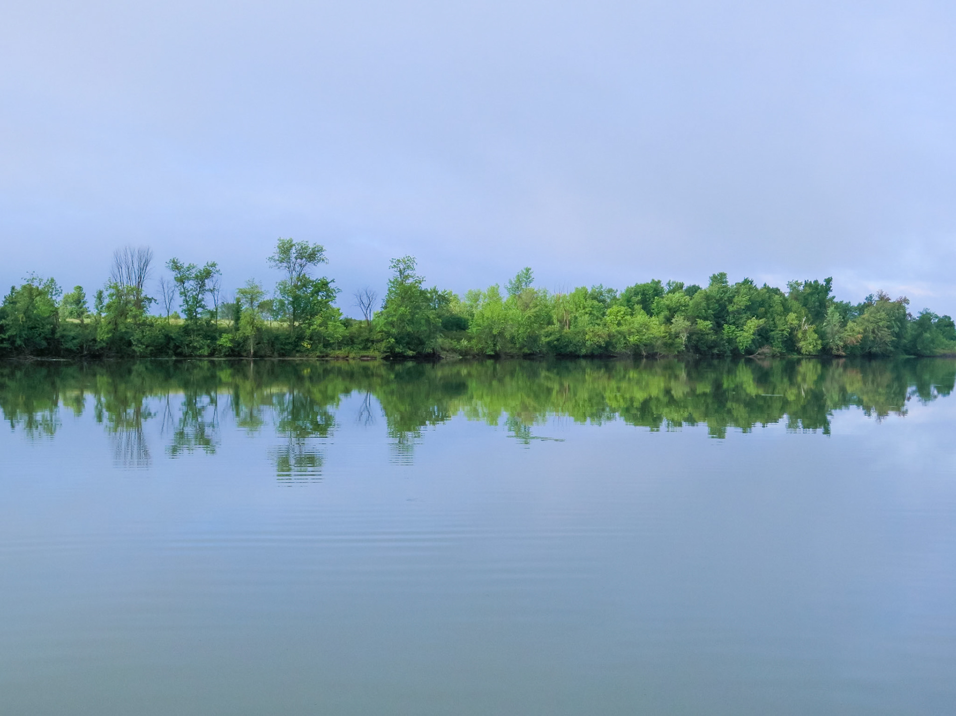 Duplicate | (Parc National de Plaisance)