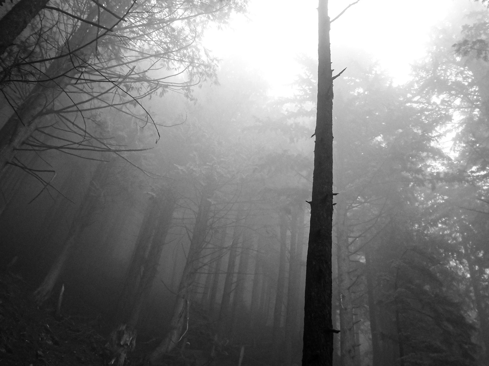 Haze | (Grouse Mountain)