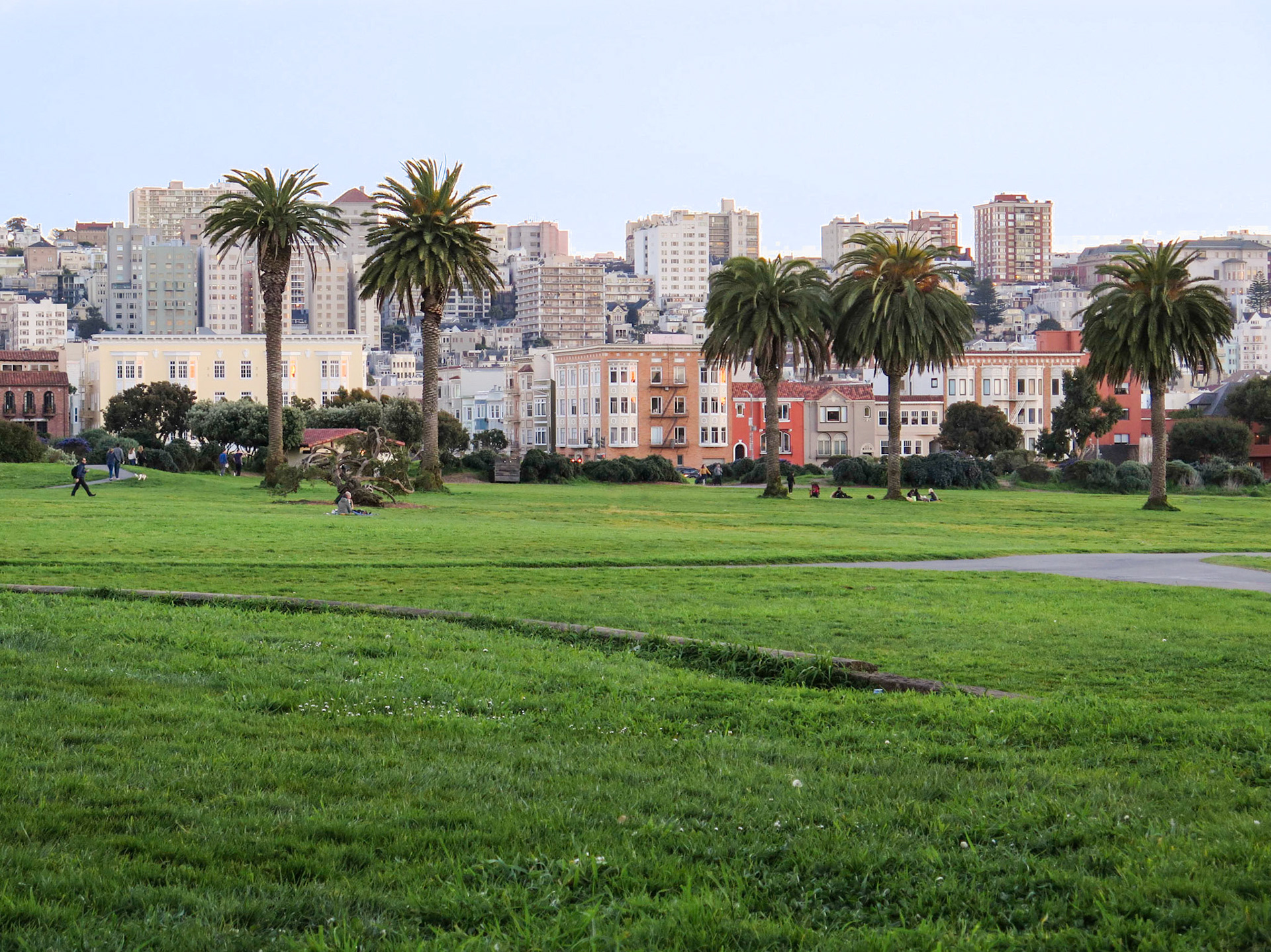 Palm Tree Picnic | (Great Meadow Park)
