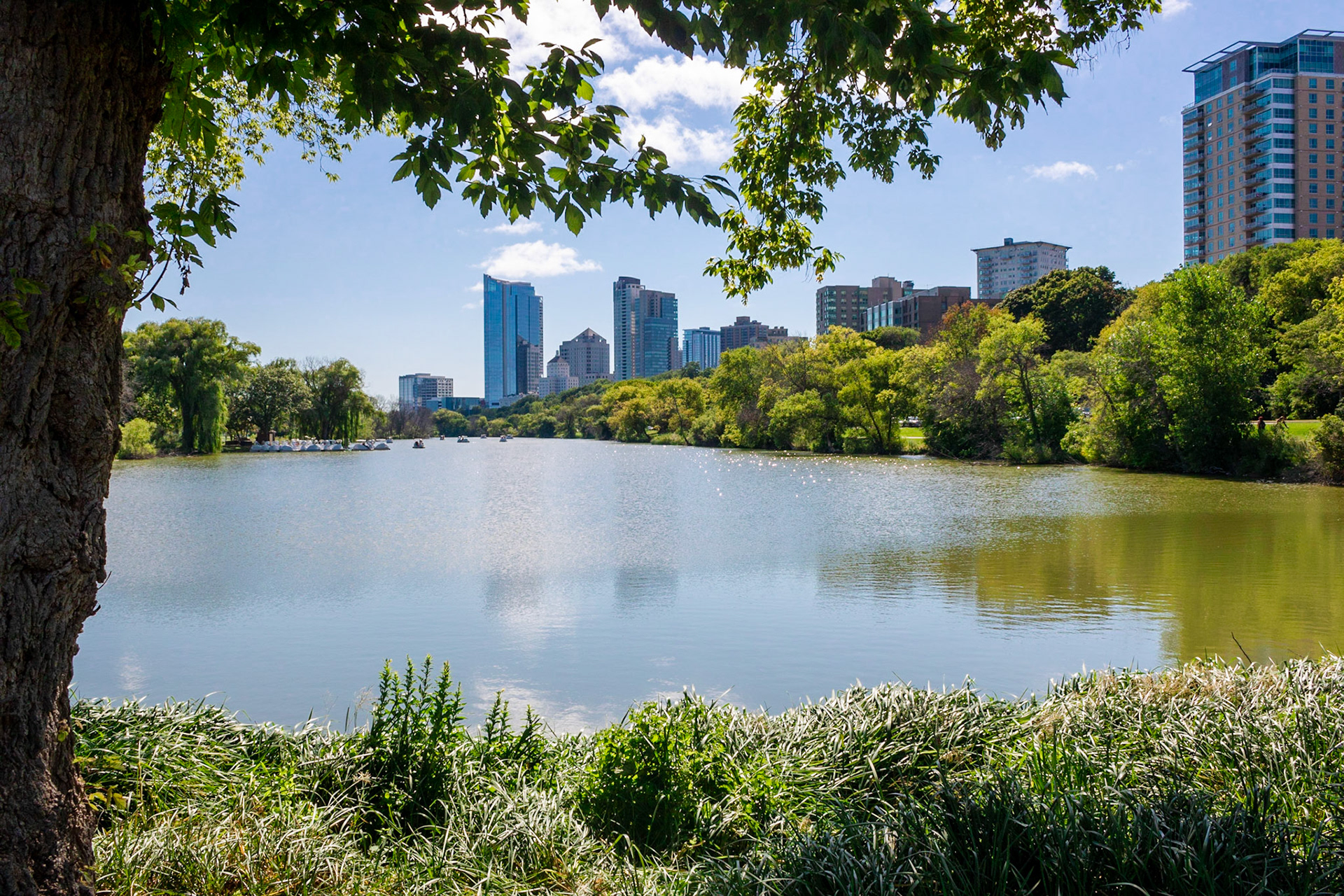Oak Leaf Trail | (Veterans Park)