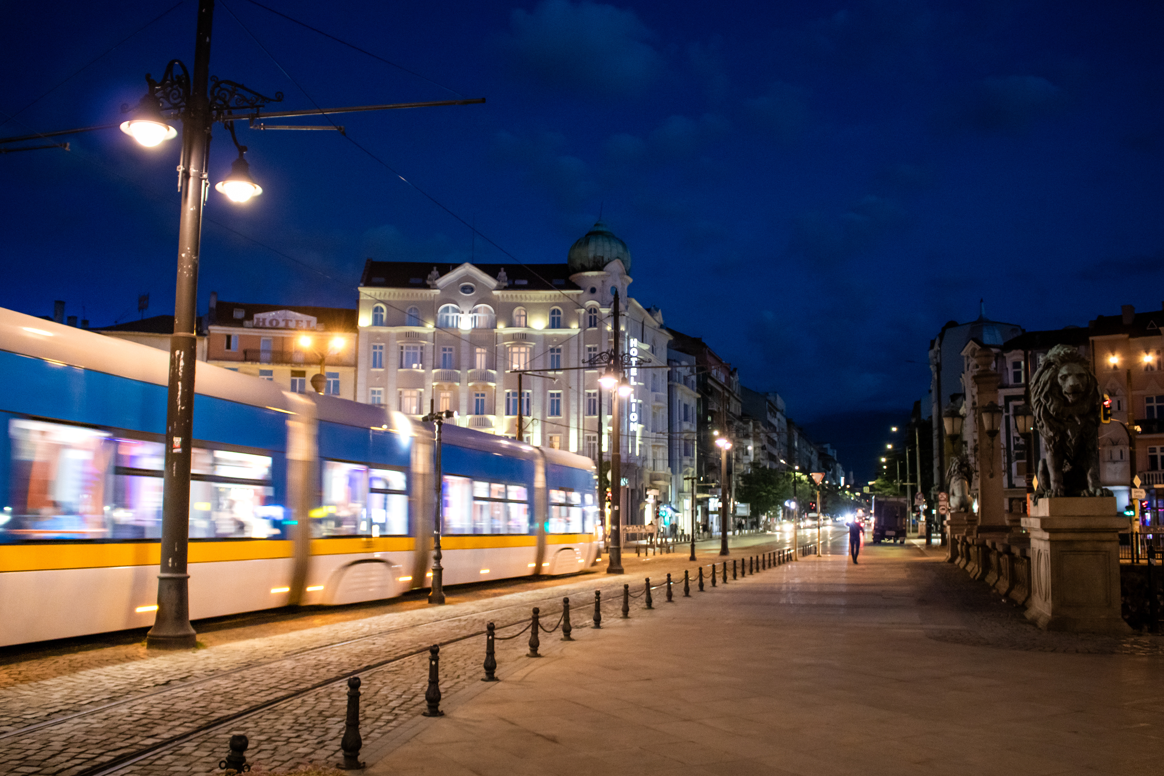 Night Trip | (Lions' Bridge)