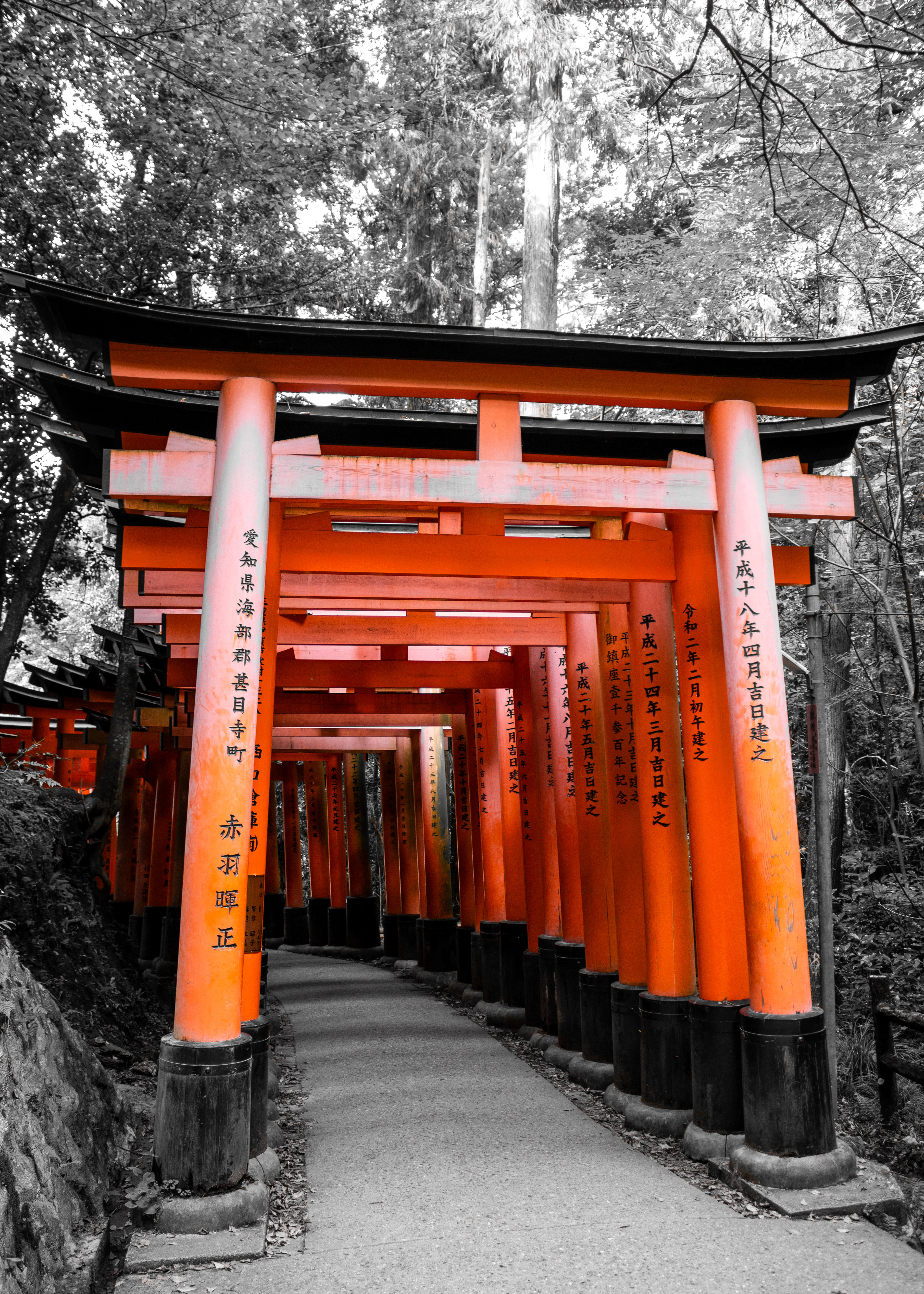 The Entry | (Kyoto, Japan)