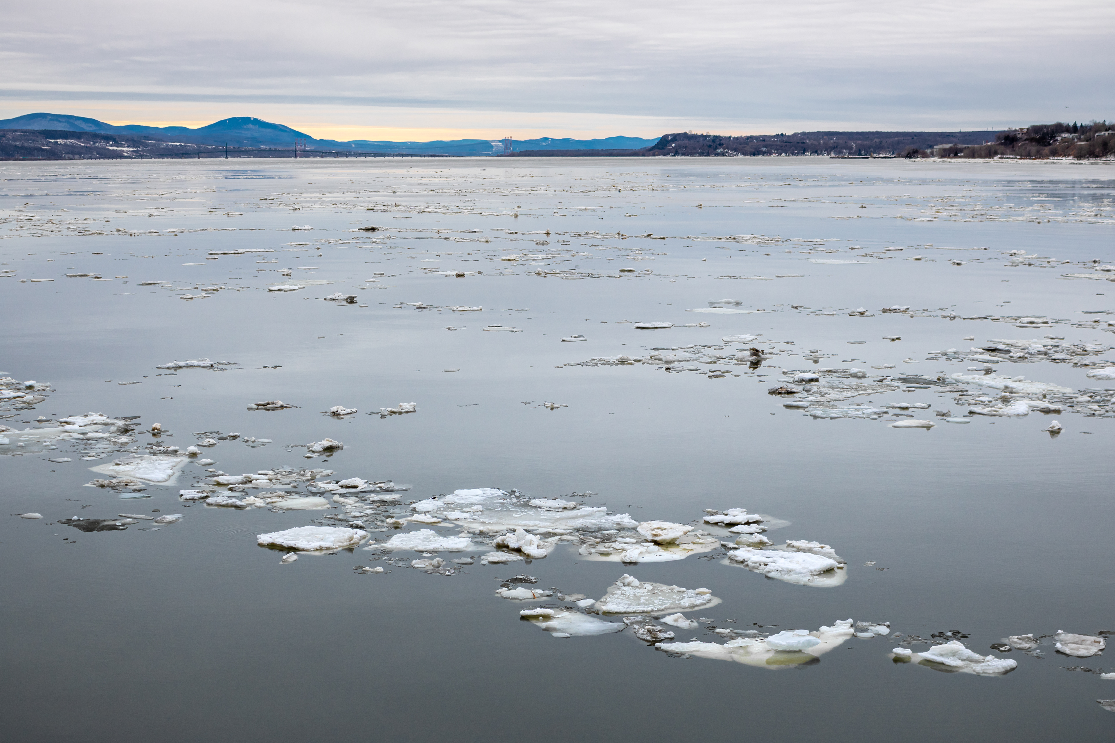 Solid and Liquid | (Lévis Ferry)