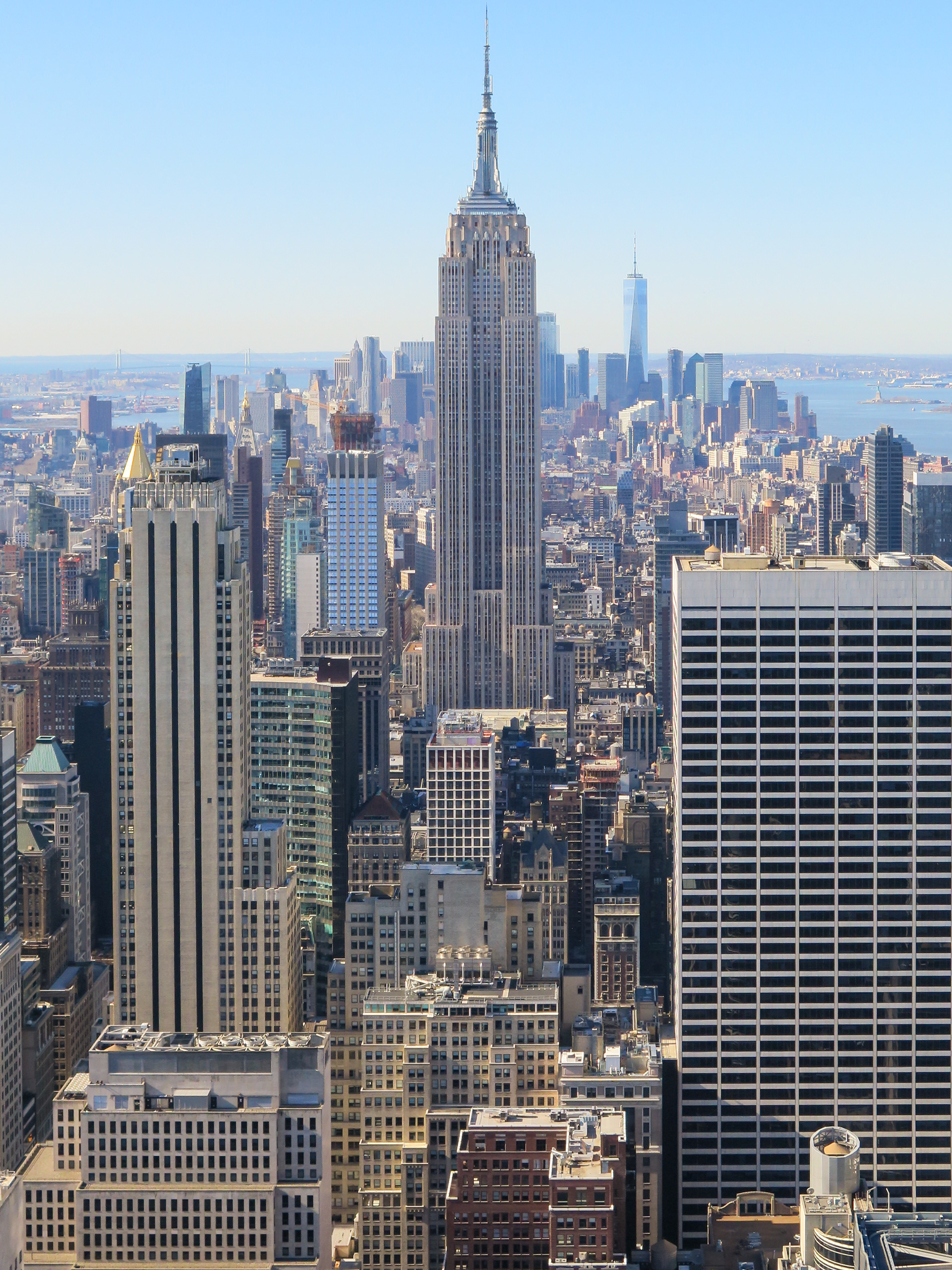 Urban Jungle | (New York, USA)