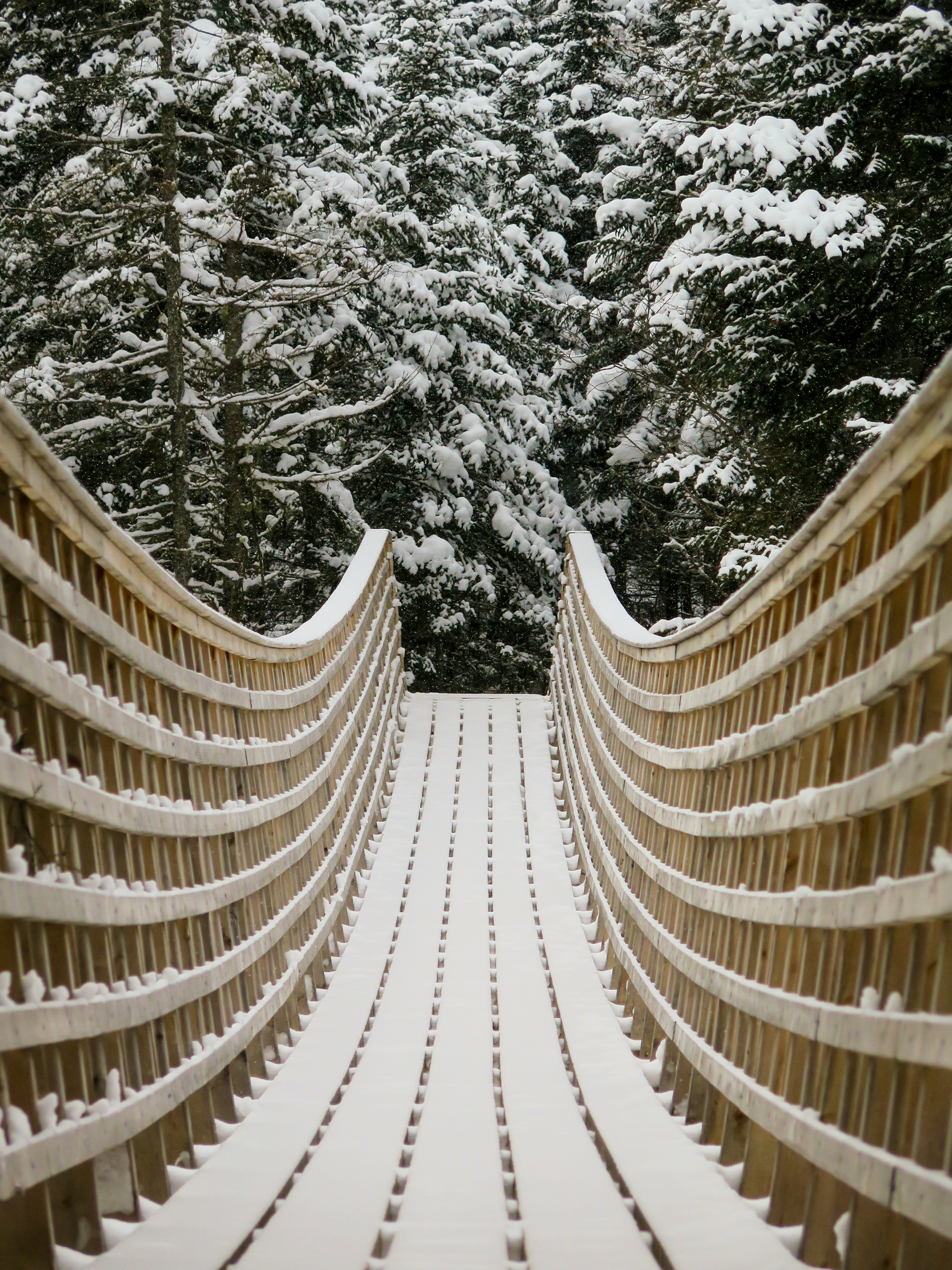 Petit Pont | (Kabania, Canada)
