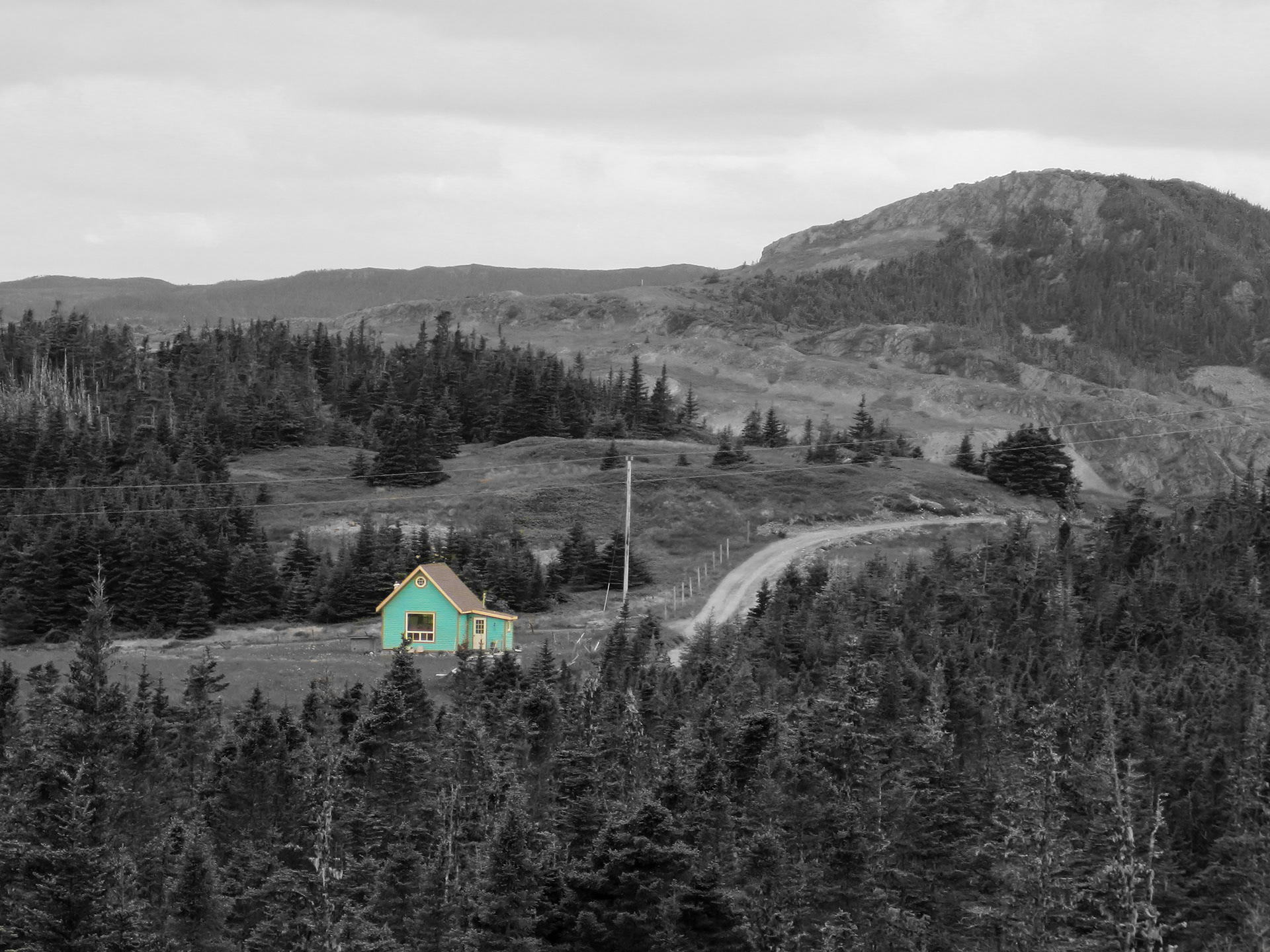 Country Road | (Trinity East, Canada)