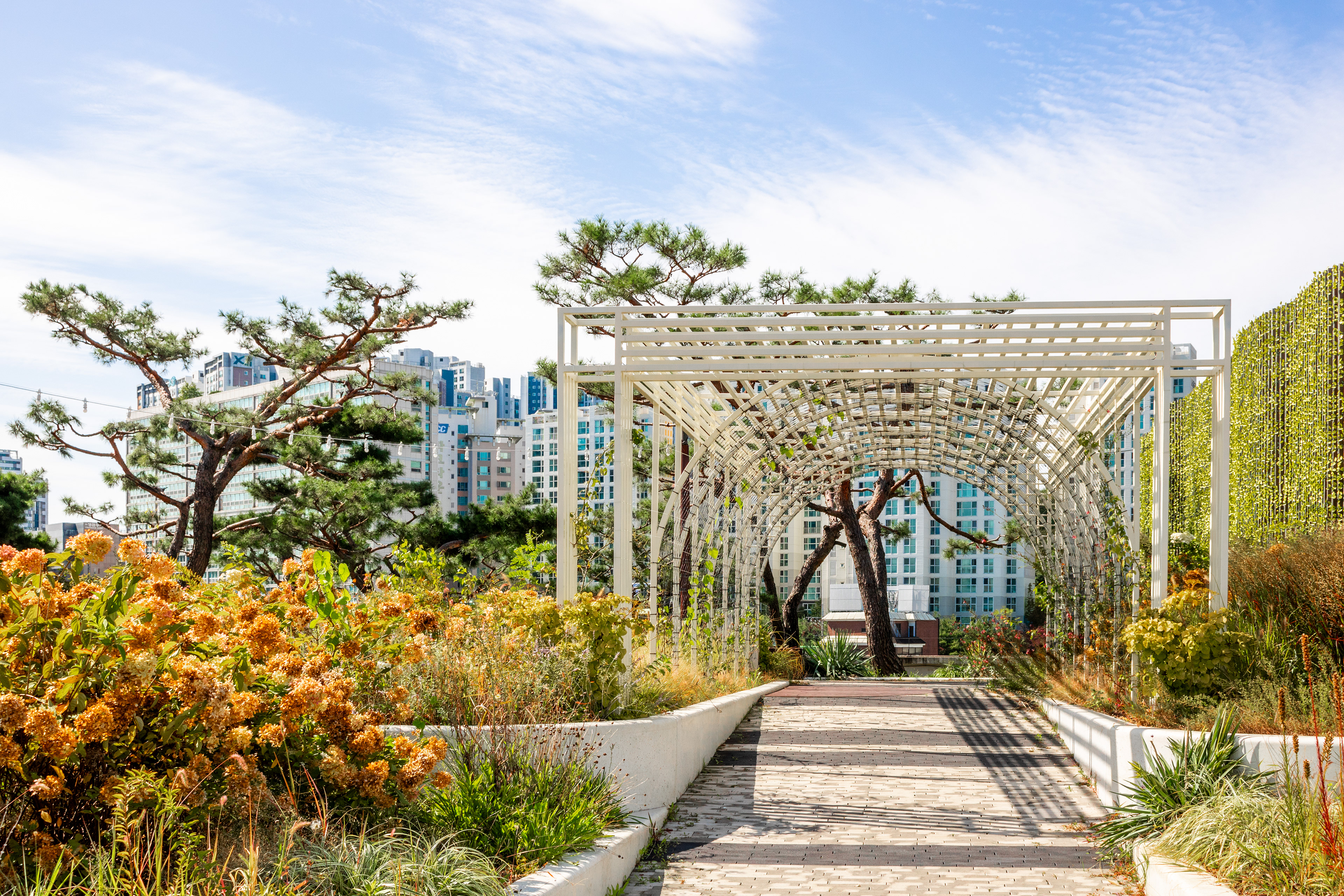 Garden Path | (Seoullo 7017)