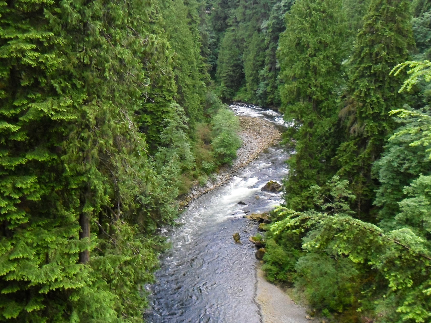 A River Runs Through | (Lynn Canyon Park)