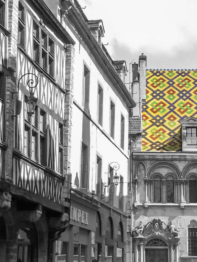Mustard Yellow | (Dijon)