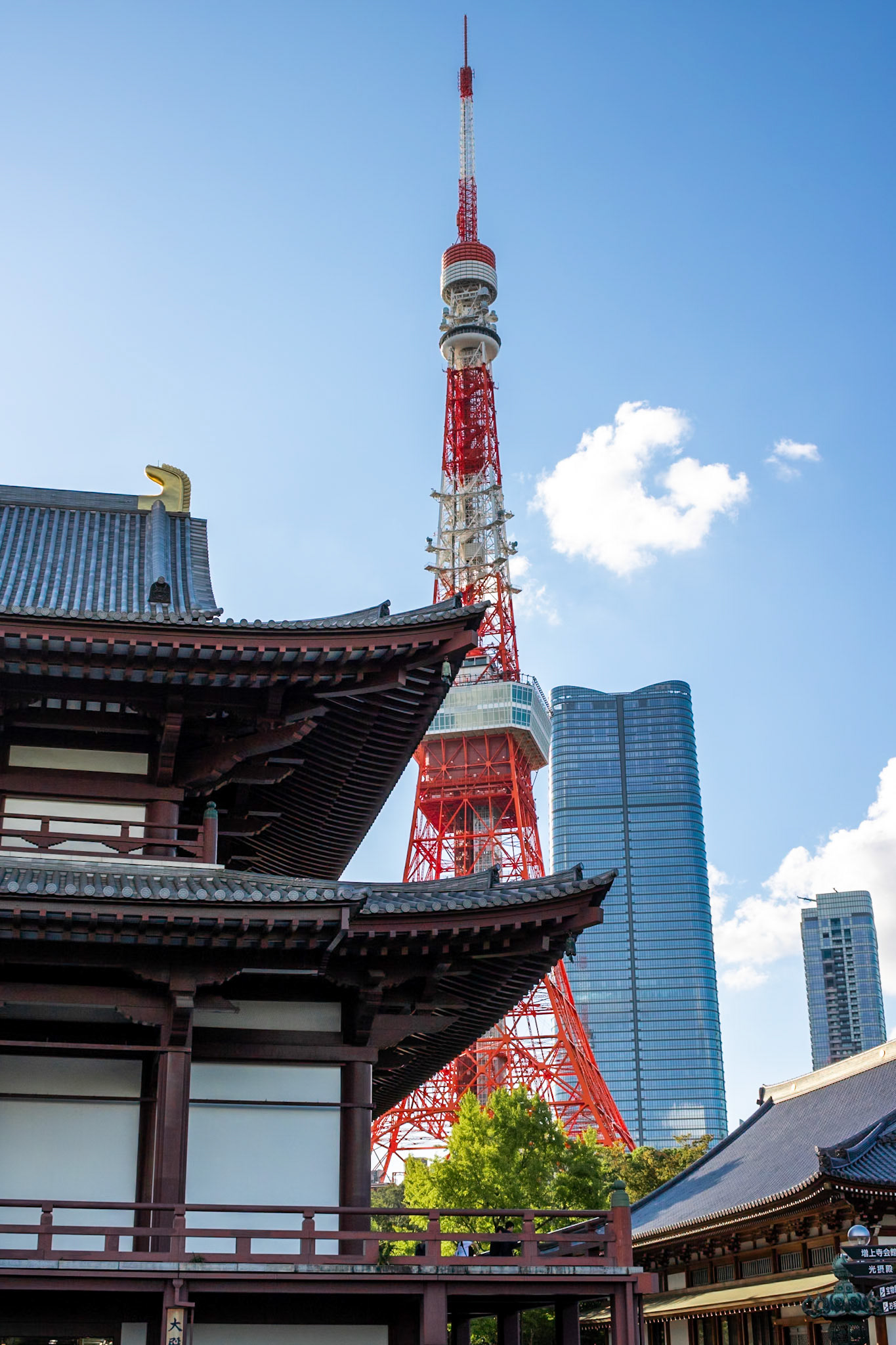 Temple and Tower | (Zōjō-ji)