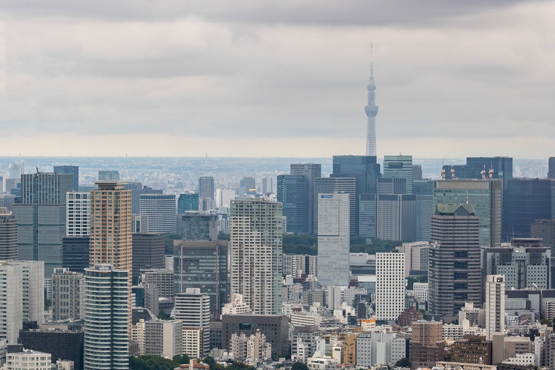 See the Skytree | (Shibuya Sky)