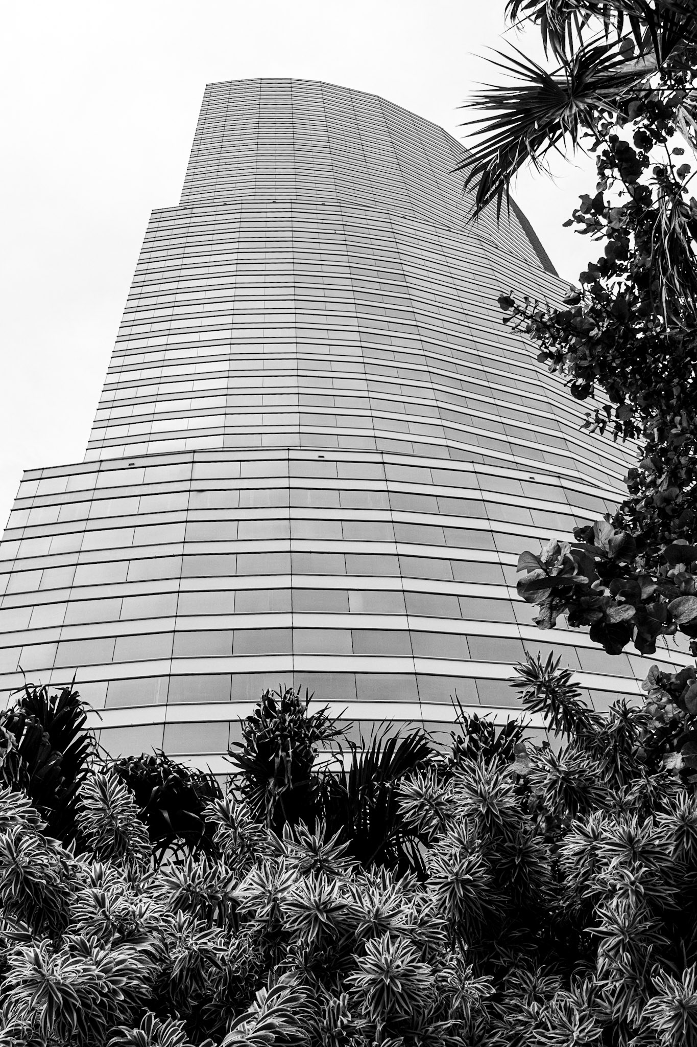 _| | (Miami Tower)