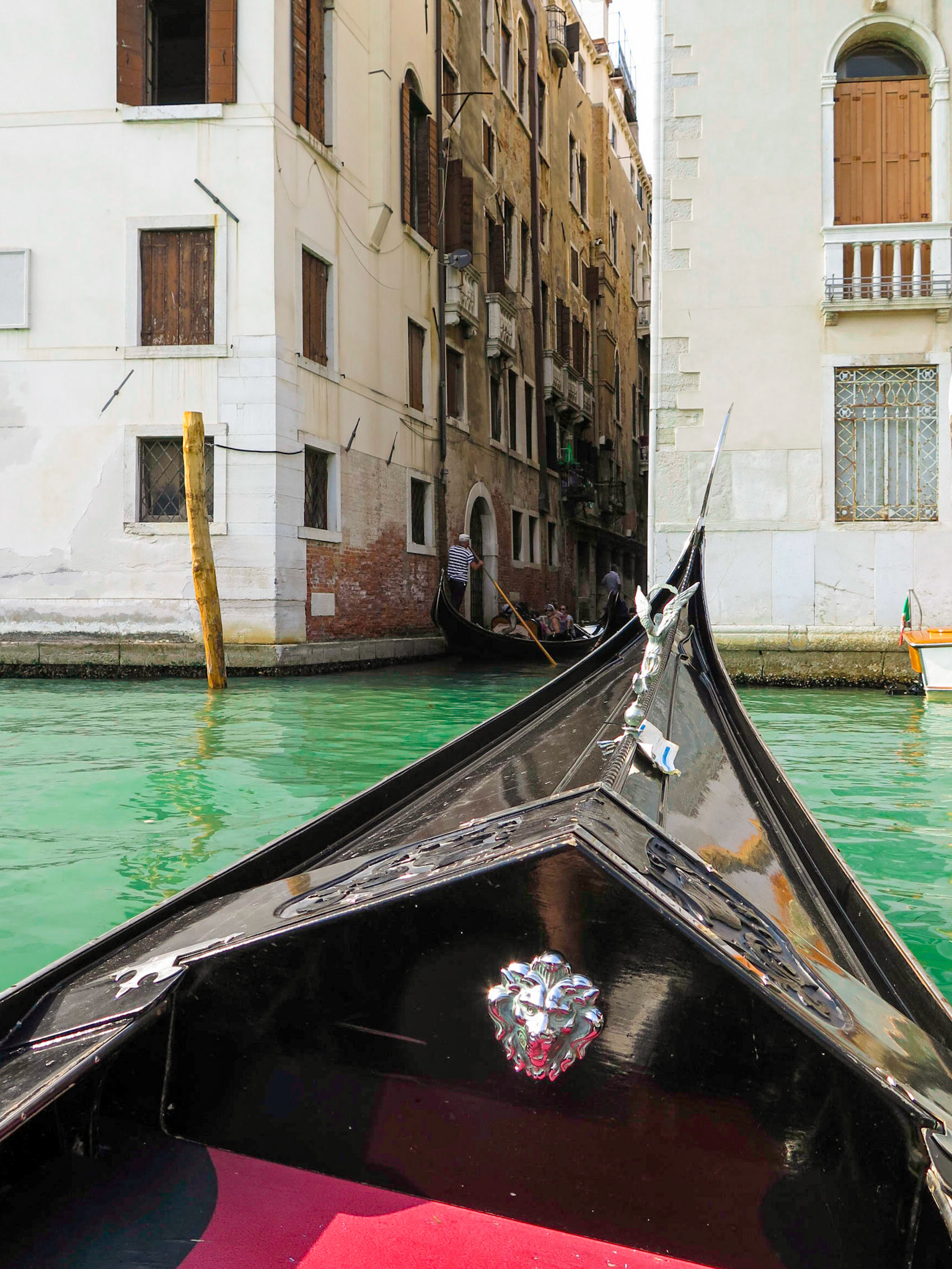 The Gondola | (Venice)