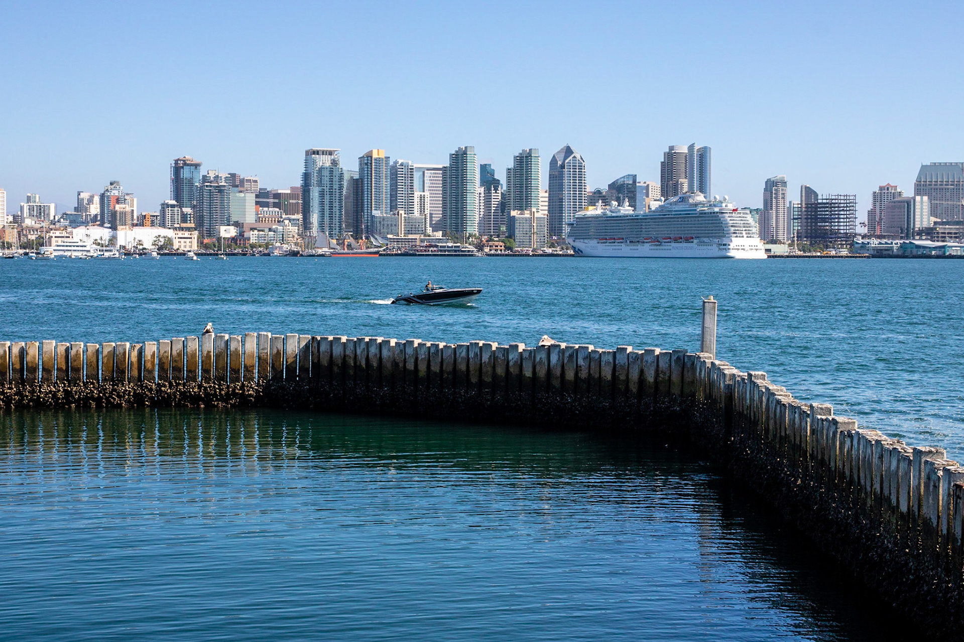 Divided | (San Diego Bay)