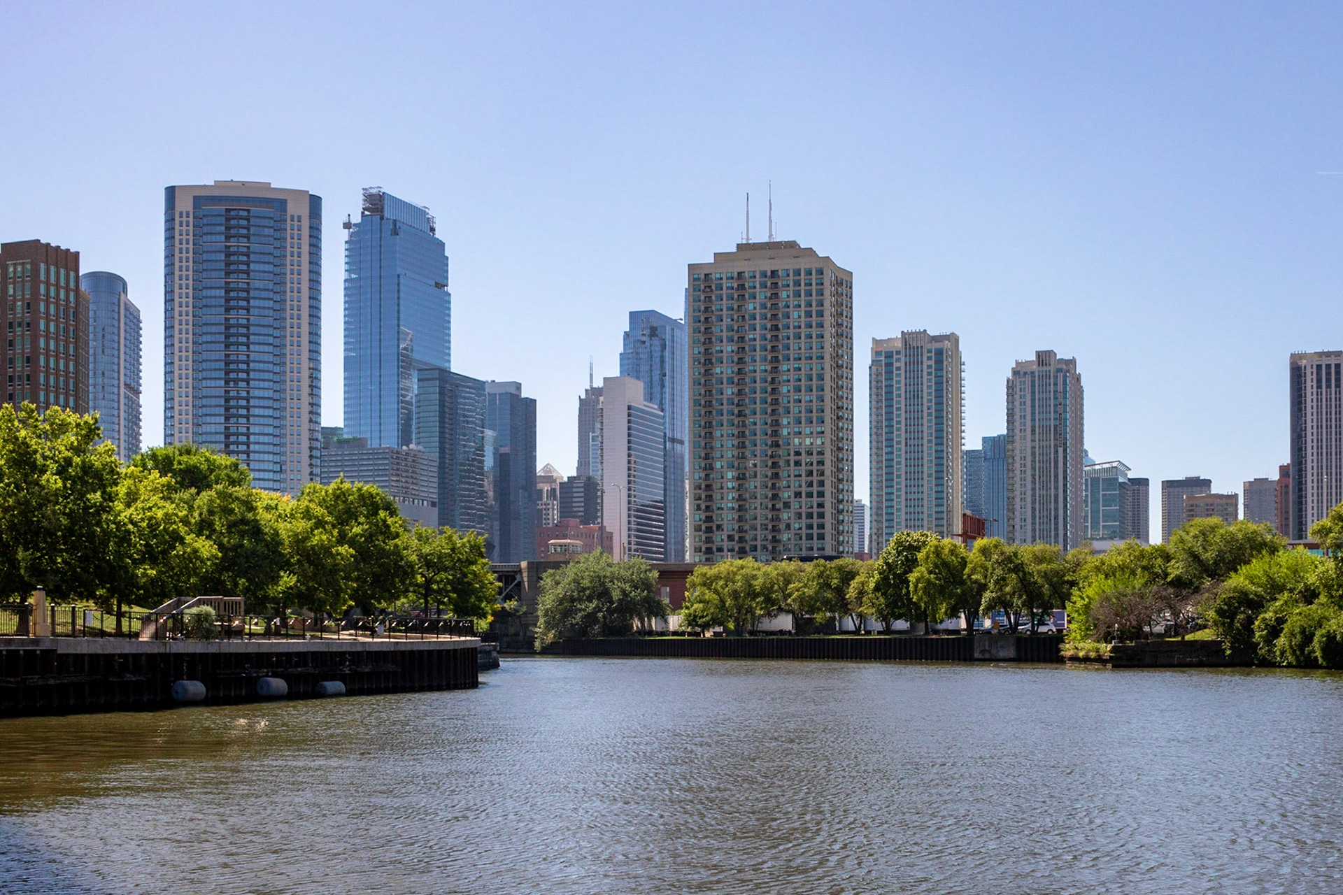 Leaf-Line | (Chicago River)