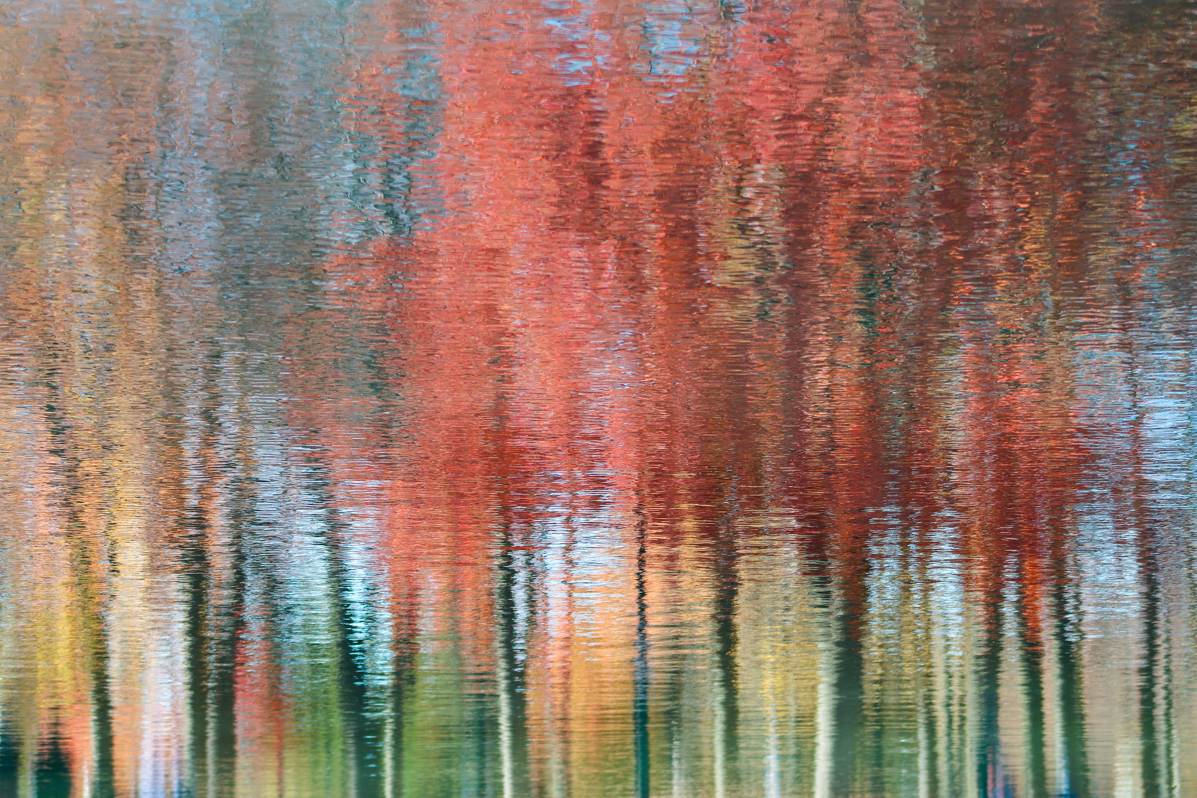 Watercolour | (Montreal, Canada)