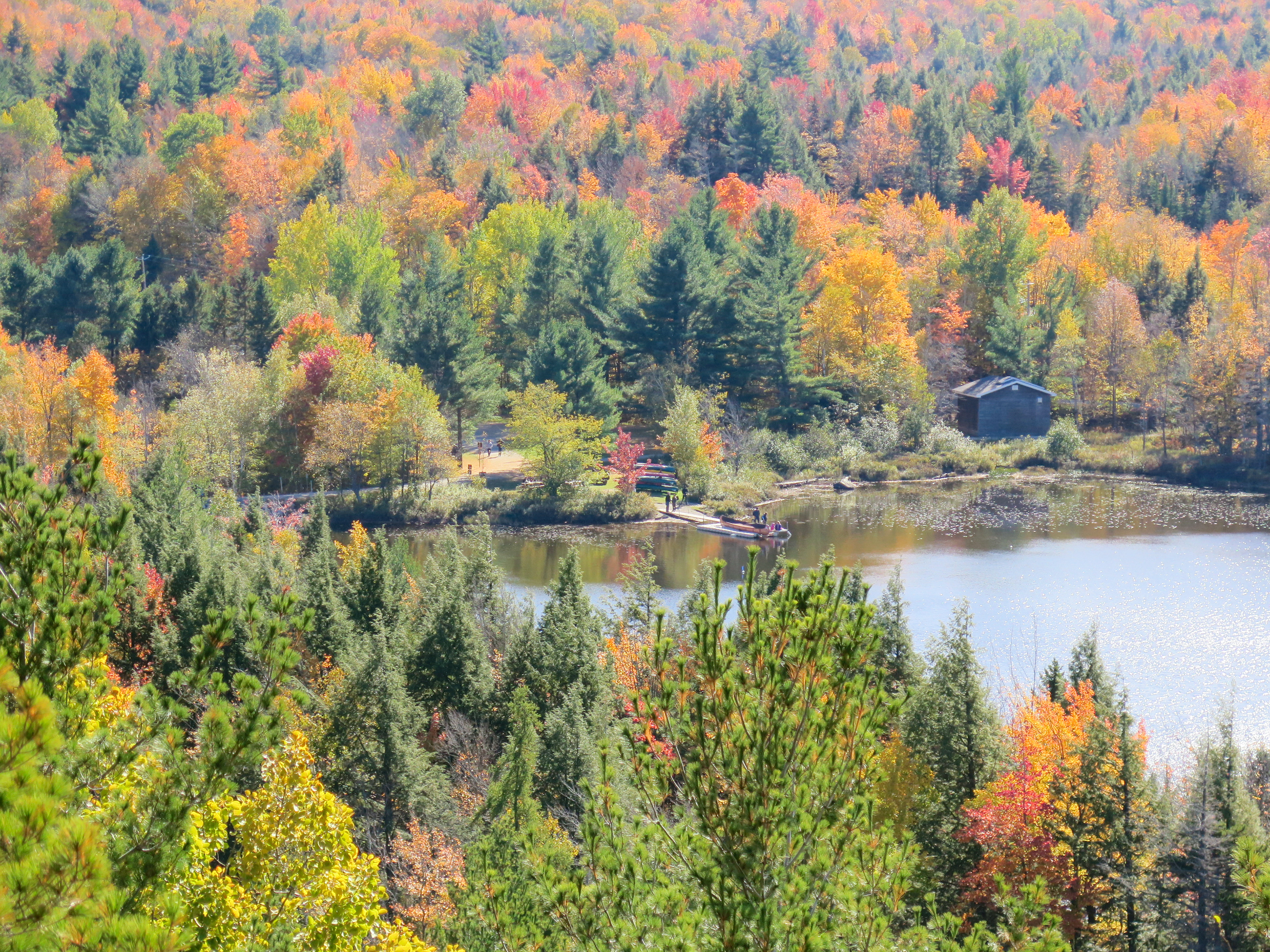 Leaf Peeping | (Orford, Canada)