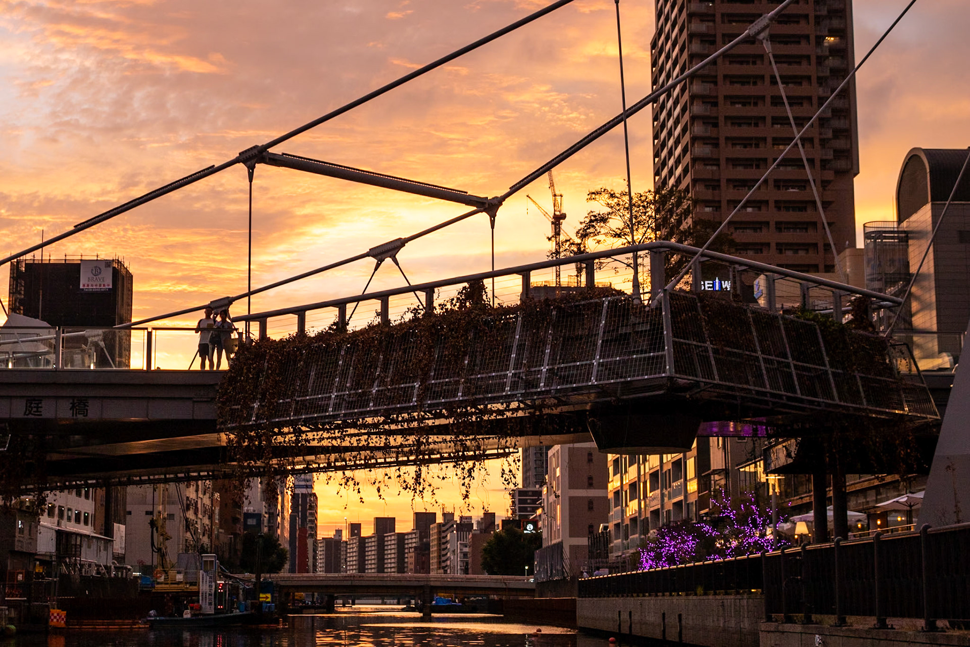 Fire and Wire | (Dotonbori River)