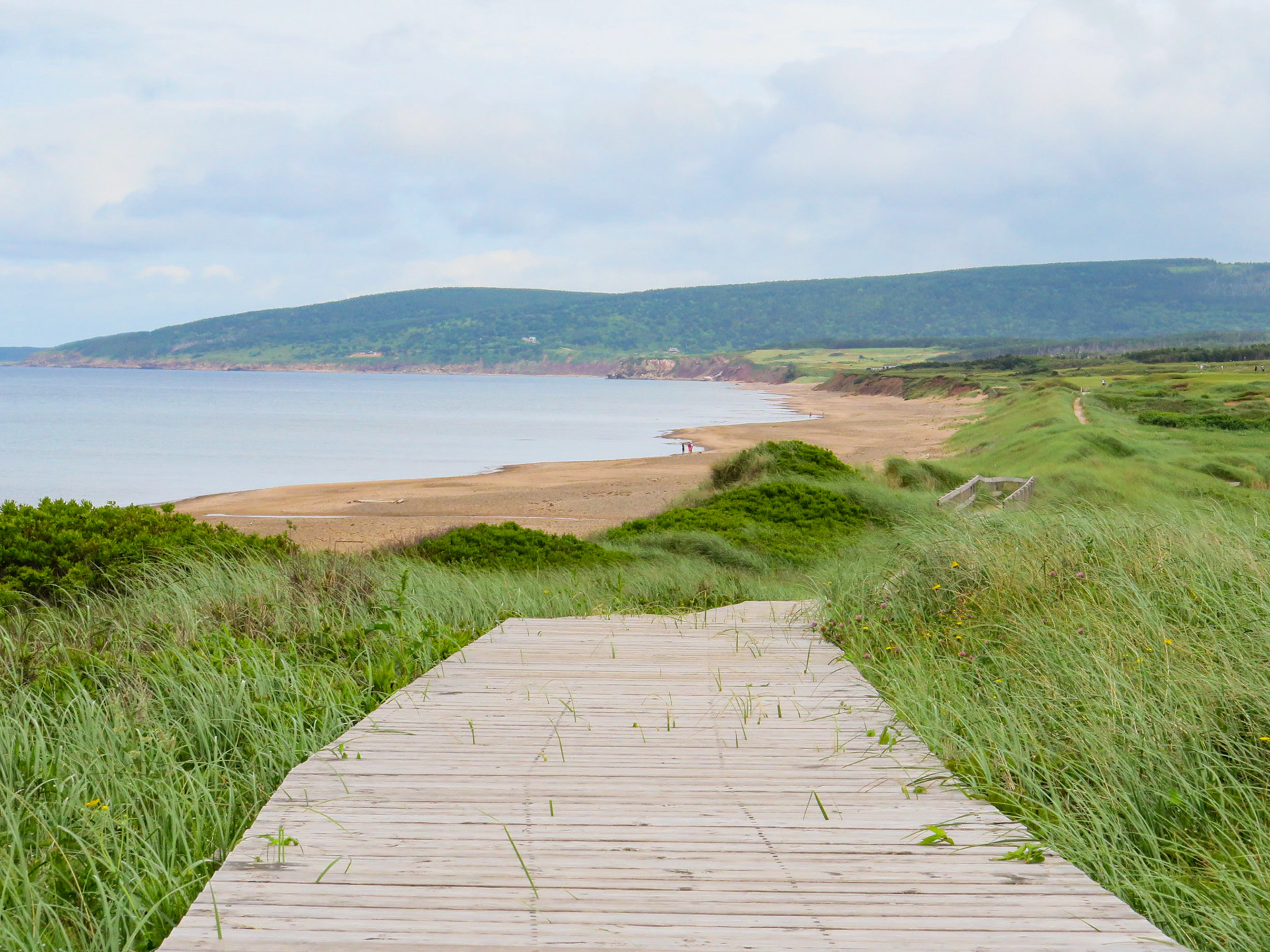 The Boardwalk | (Inverness Beach)