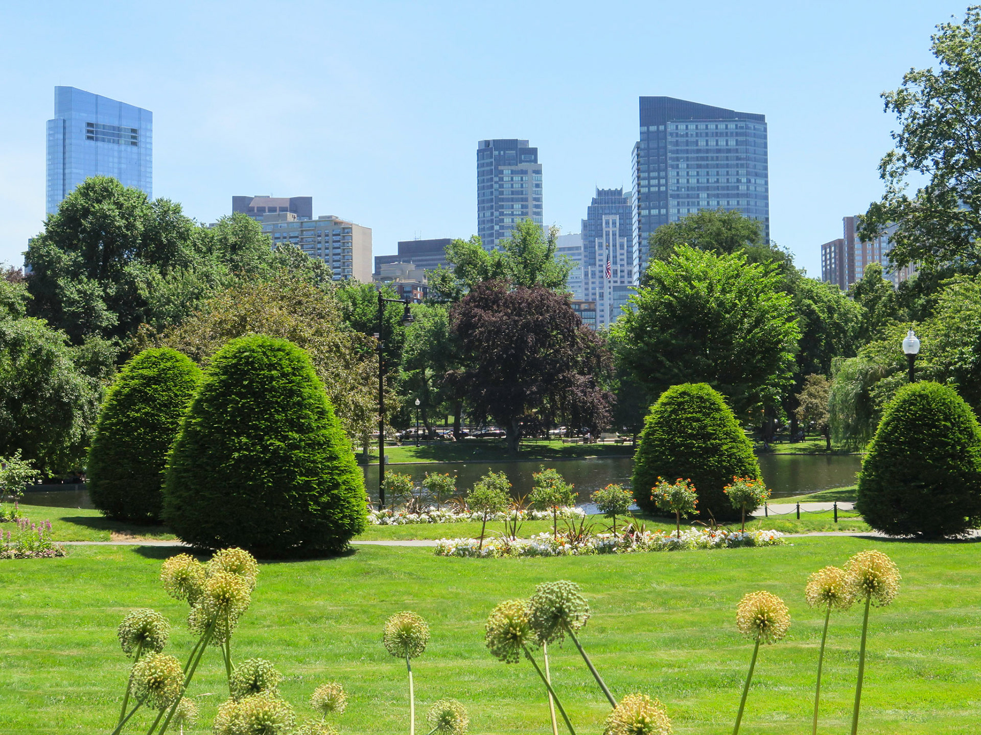 Green Space | (Boston Common)