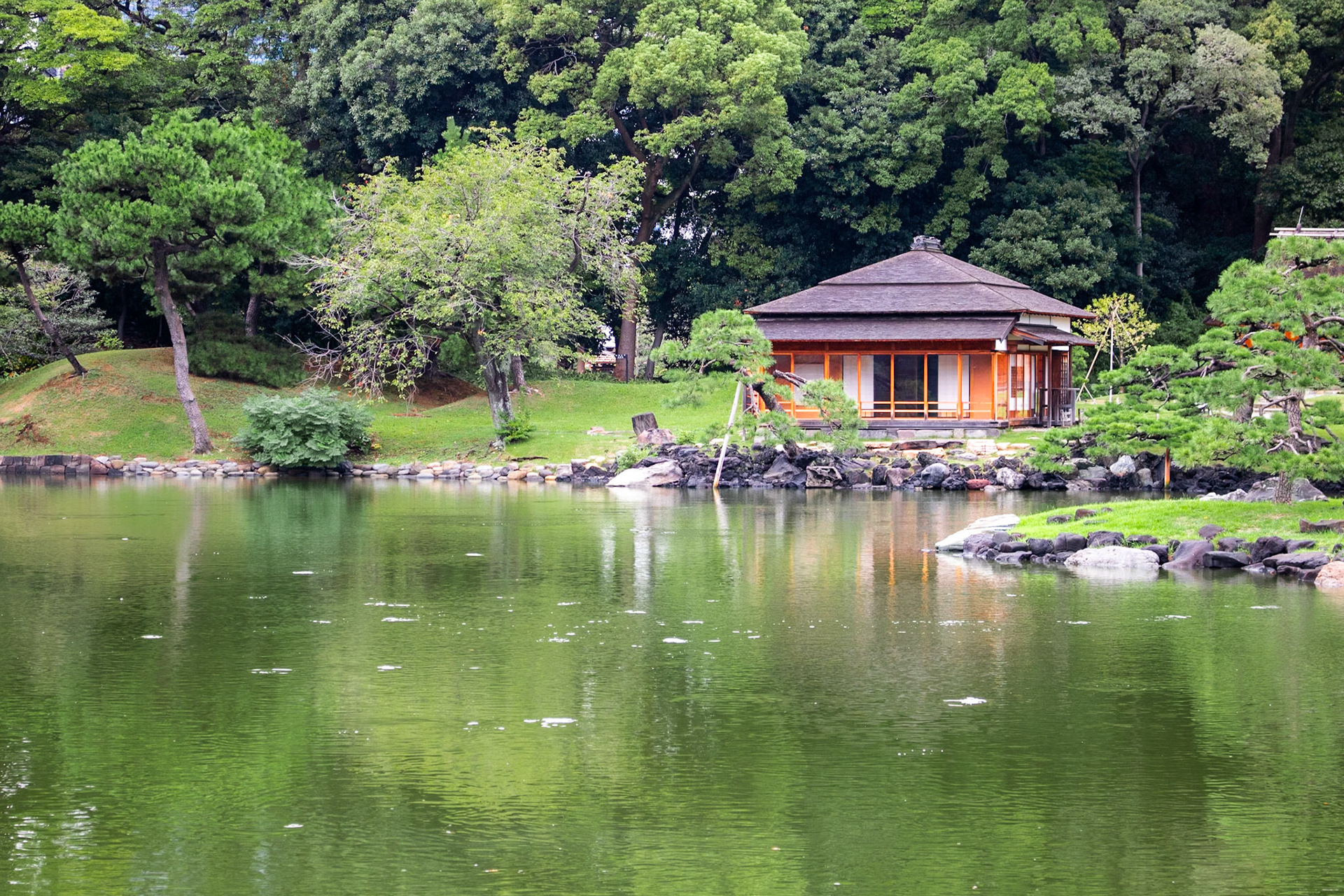 Ochaya | (Hamarikyu Gardens)
