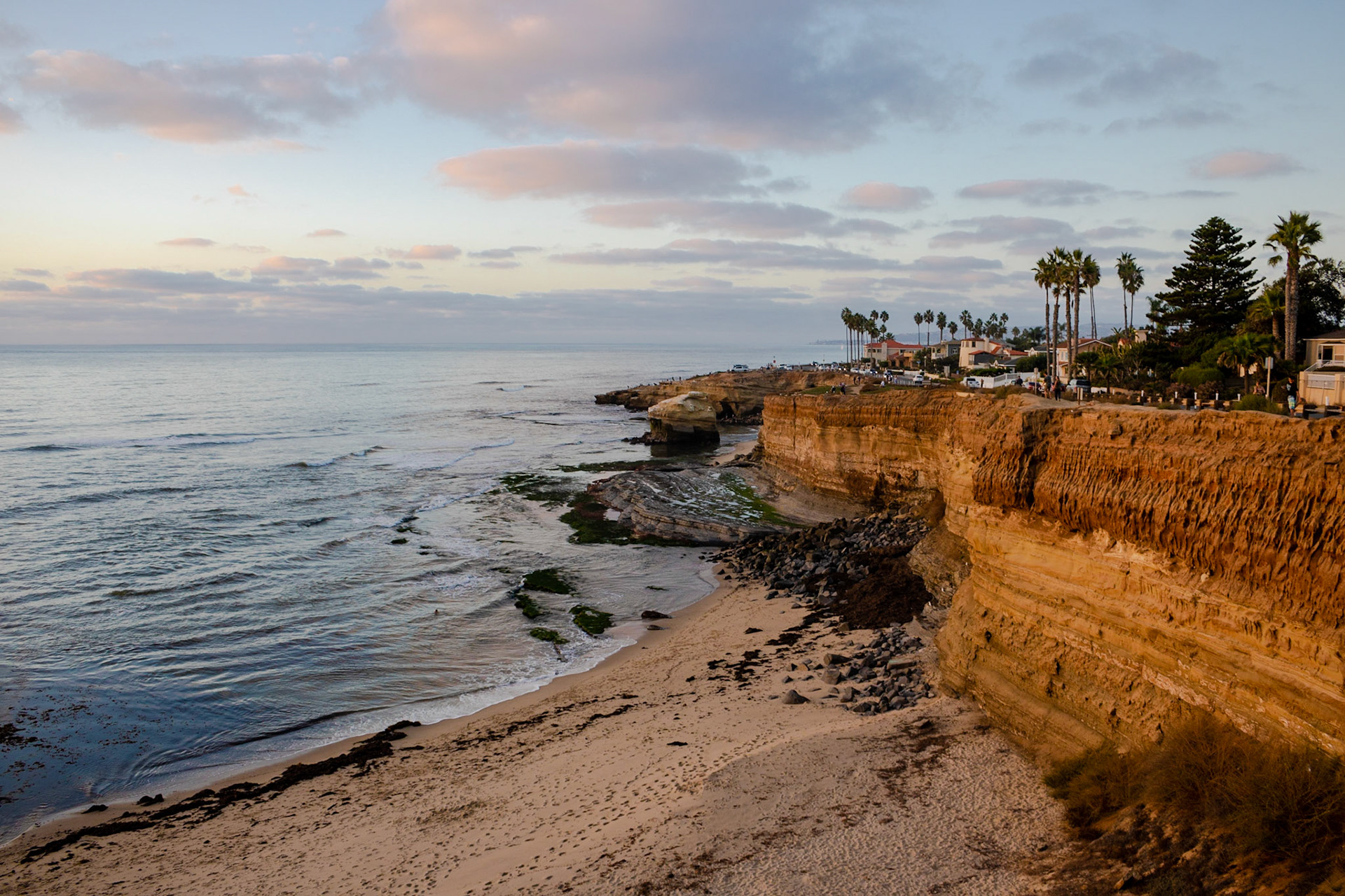 Cliffside | (Sunset Cliffs)