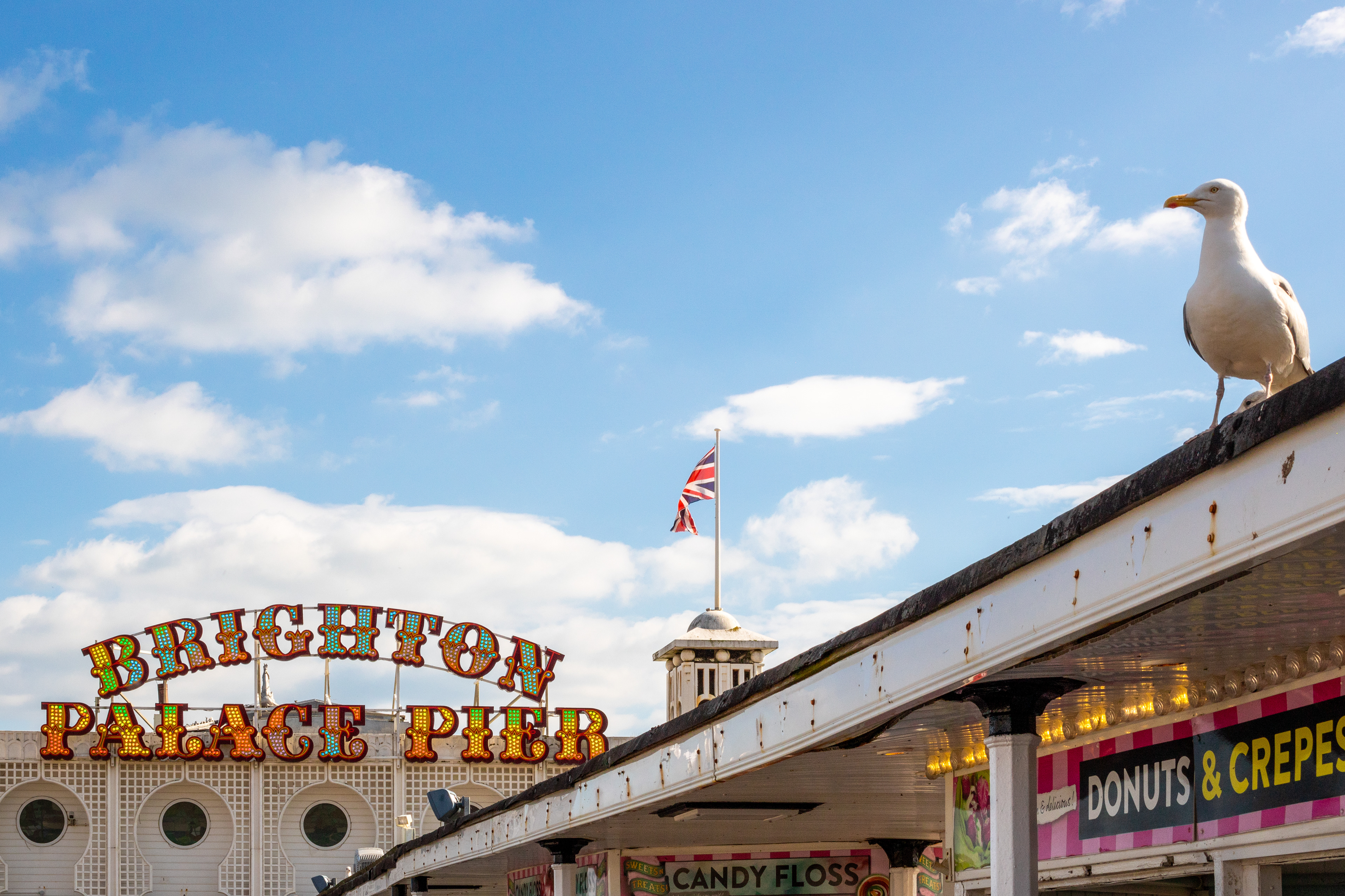 Pier Patrol | (Brighton Palace Pier)