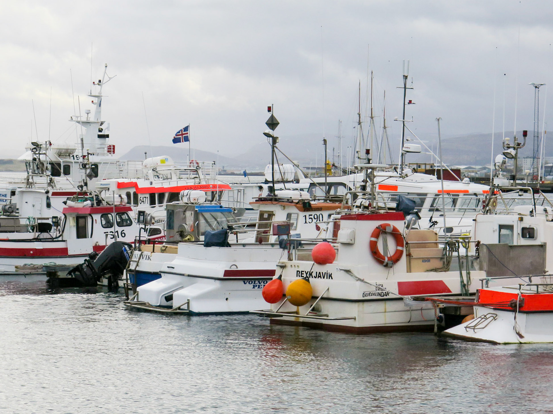 Floating Parking | (Reykjavík)