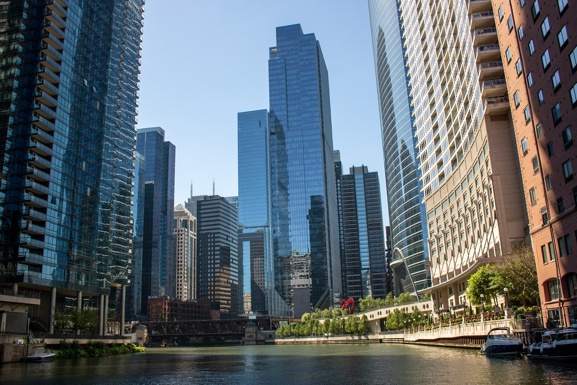Glass Jungle | (Chicago River)