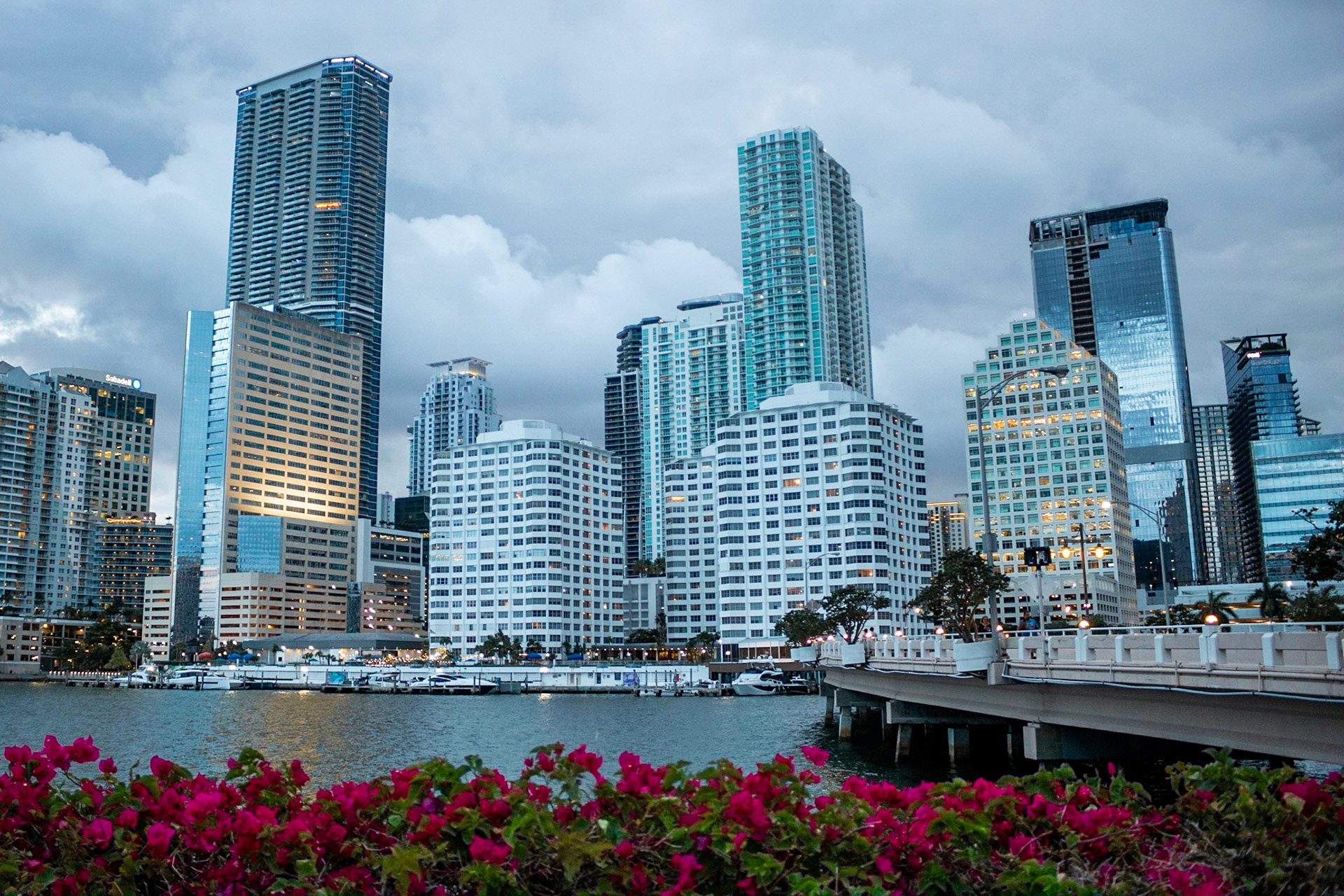 Getting Lit | (Brickell Key)