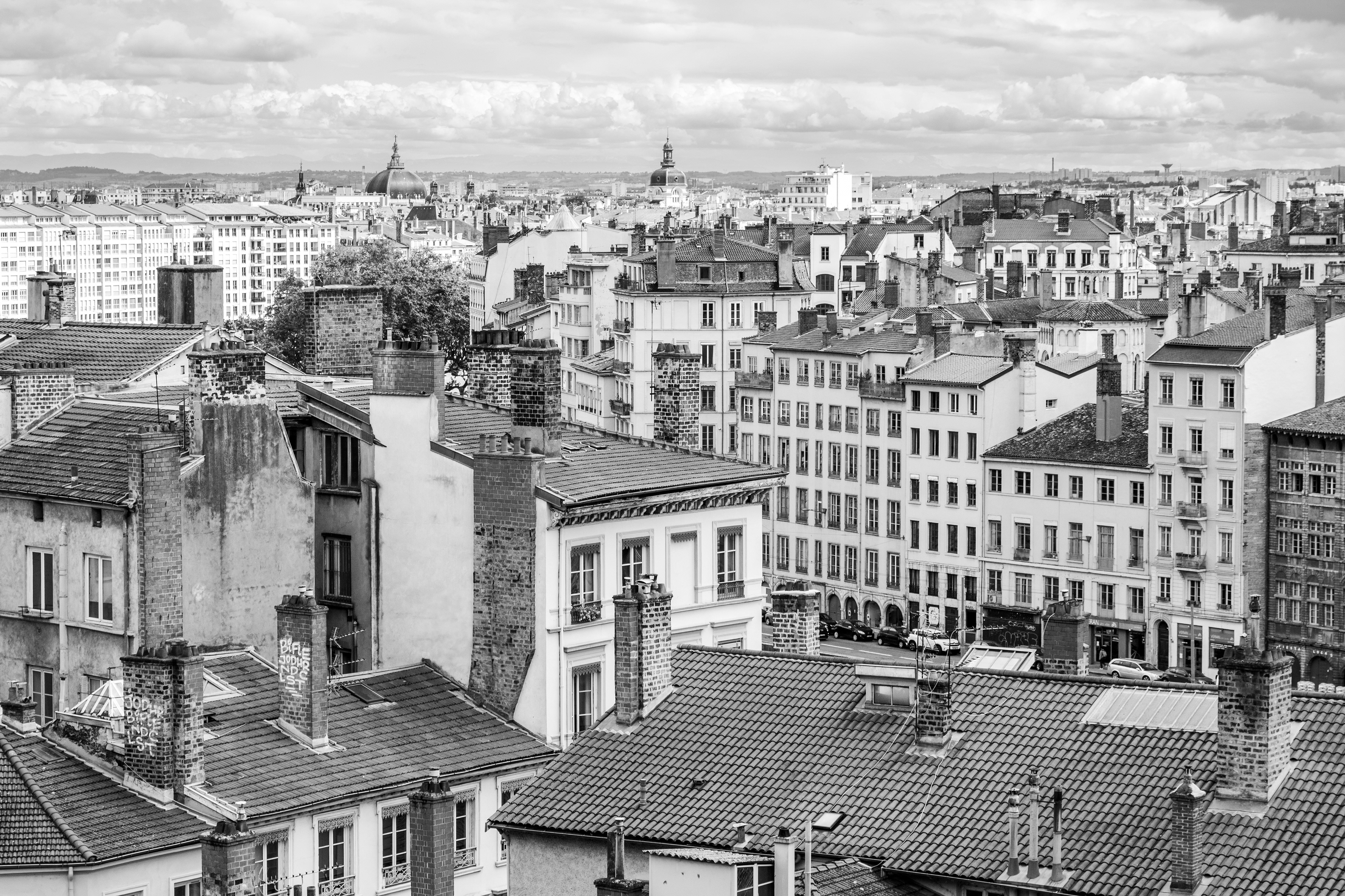 En Noir et Blanc | (Jardin des Chartreux)