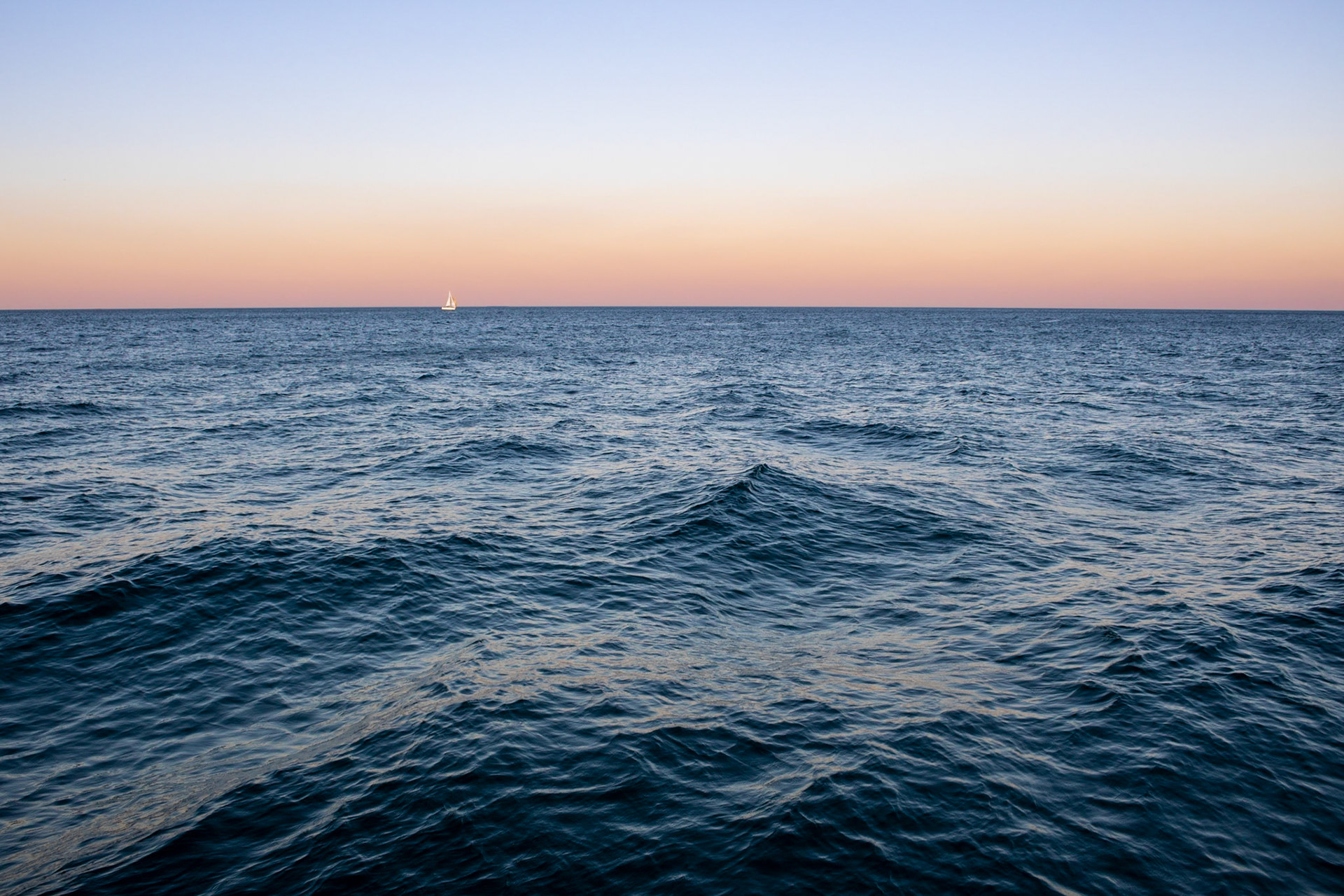 Wavy Sail | (North Avenue Beach)