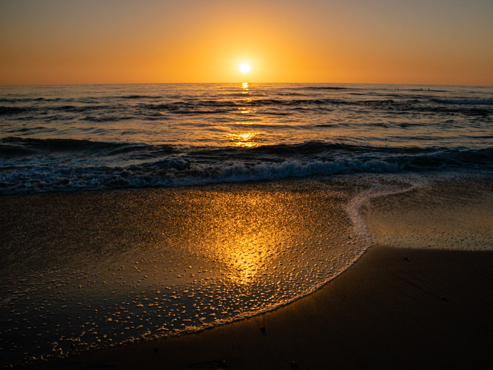 Textures | (Windansea Beach)
