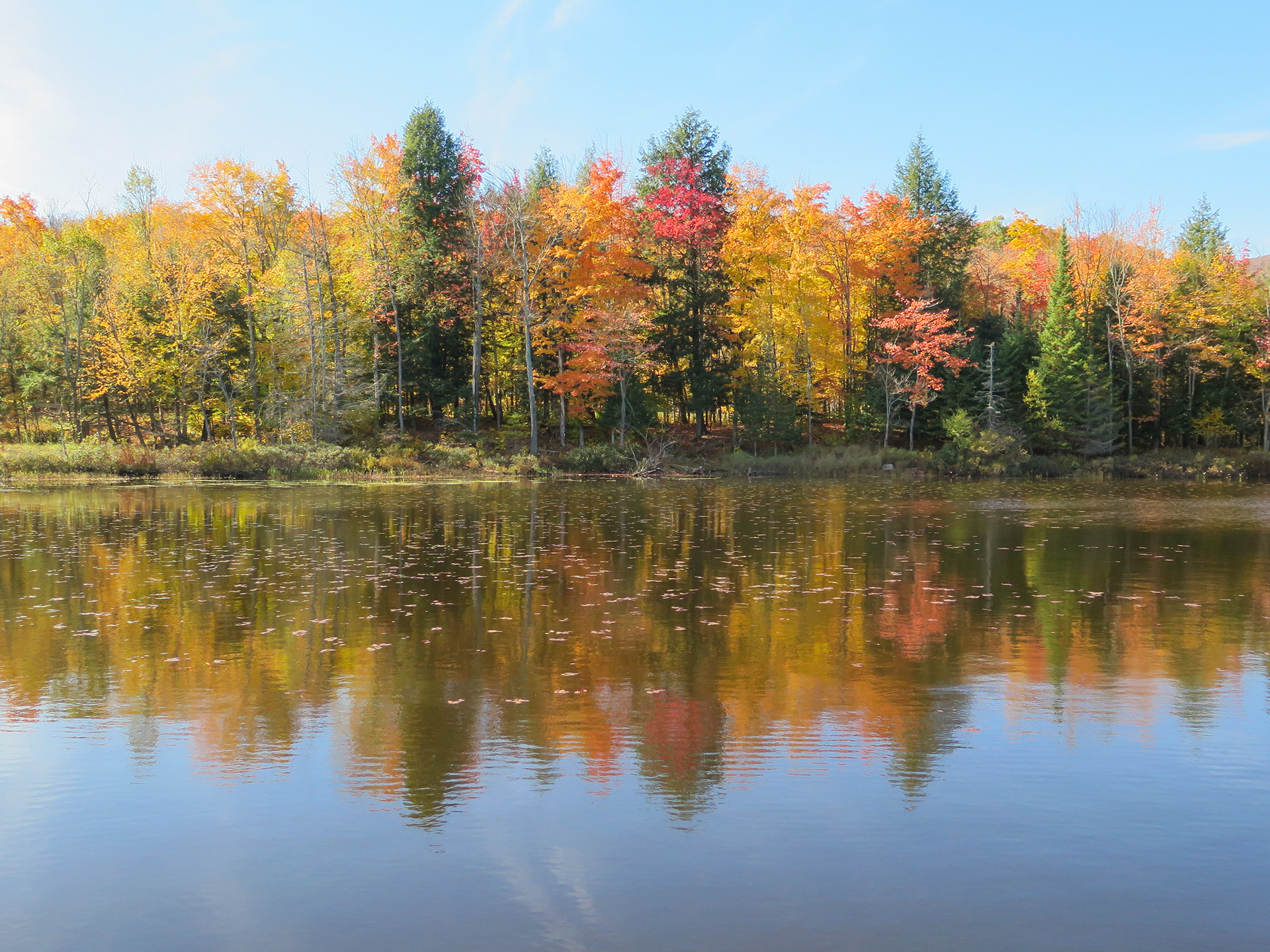 Autumn Awesomeness | (Orford, Canada)