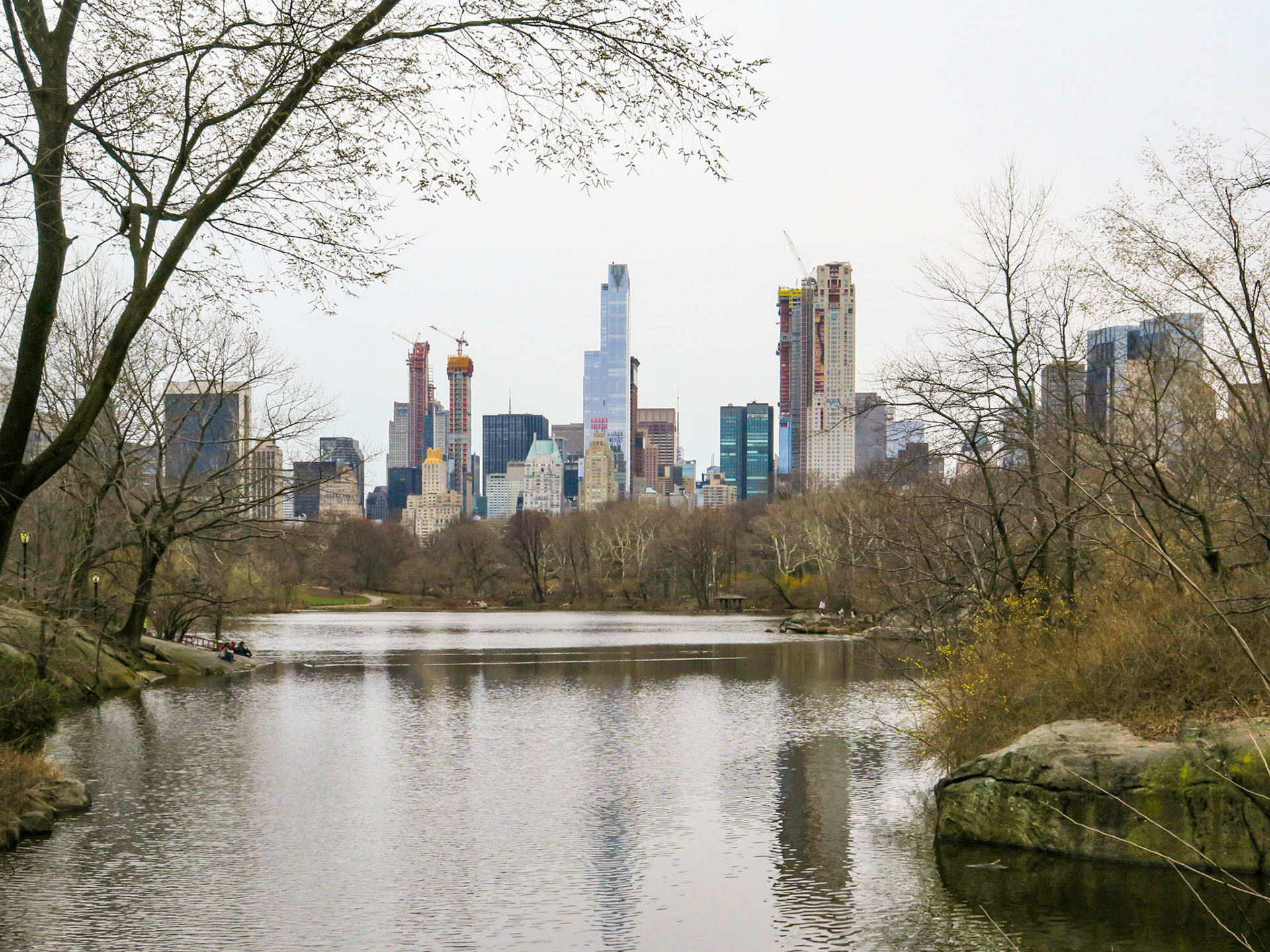 Lake Break | (Central Park)