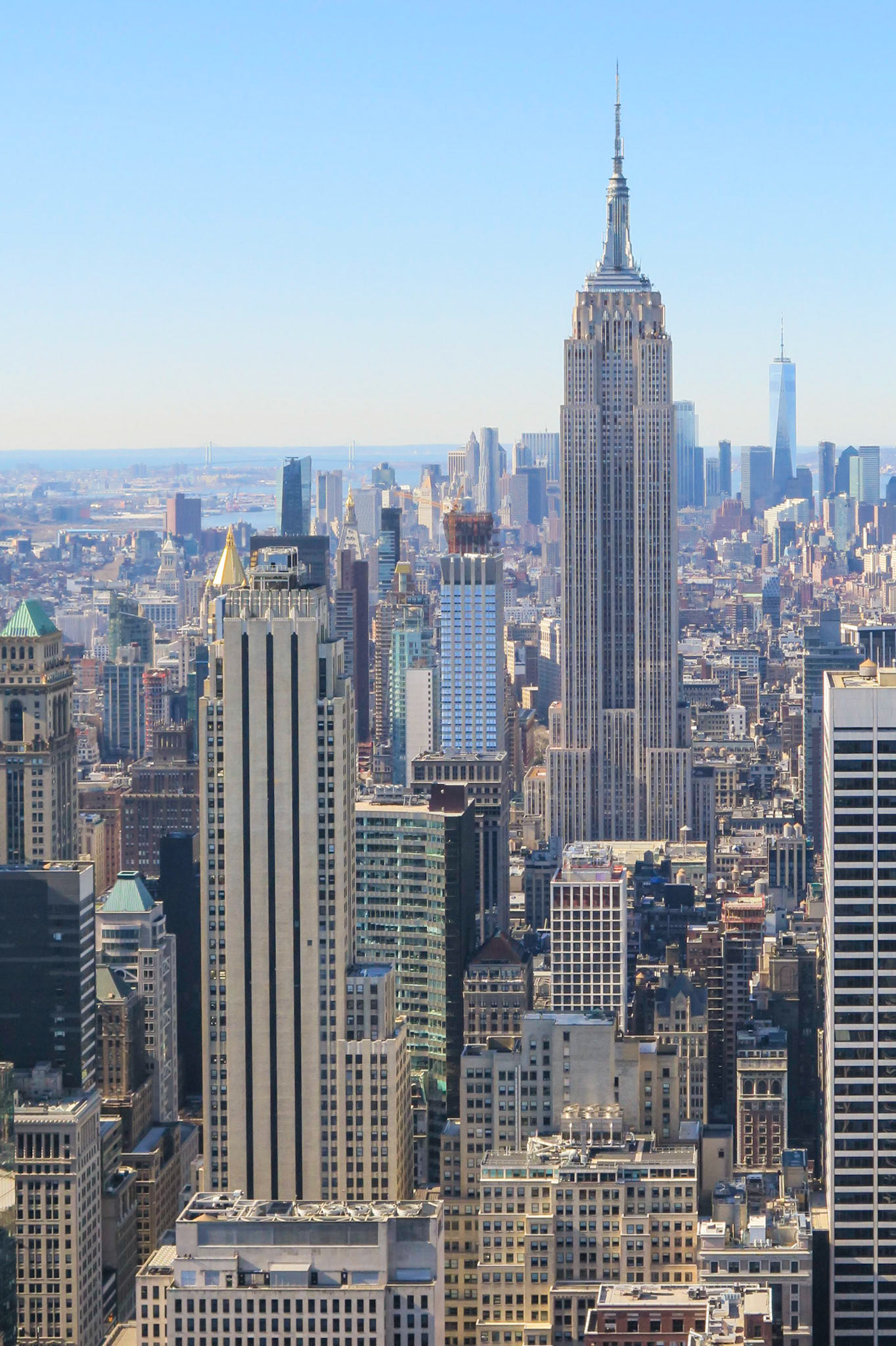 Urban Jungle | (Top of the Rock)