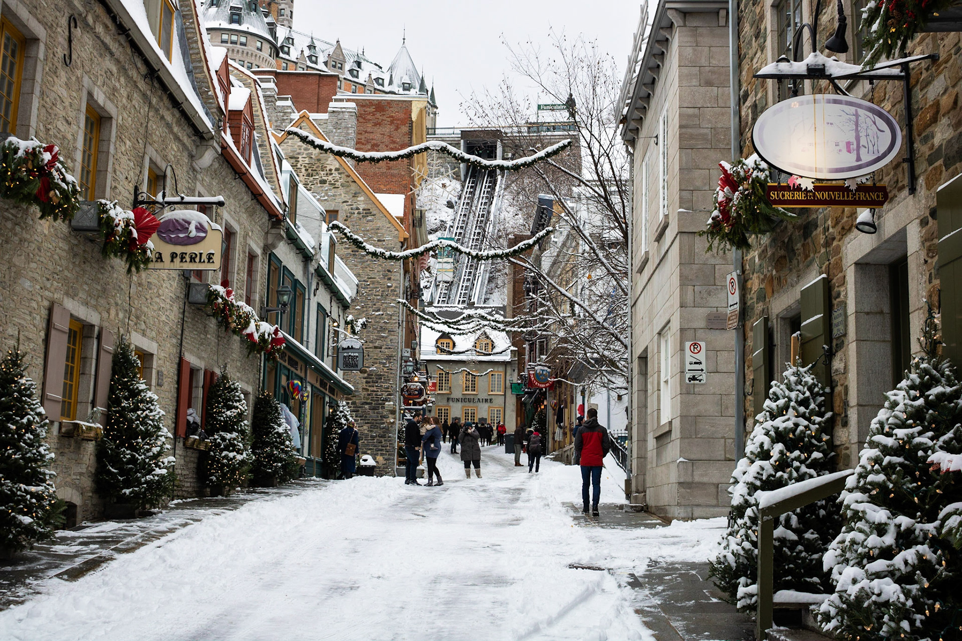 Tree-lined | (Old Quebec)