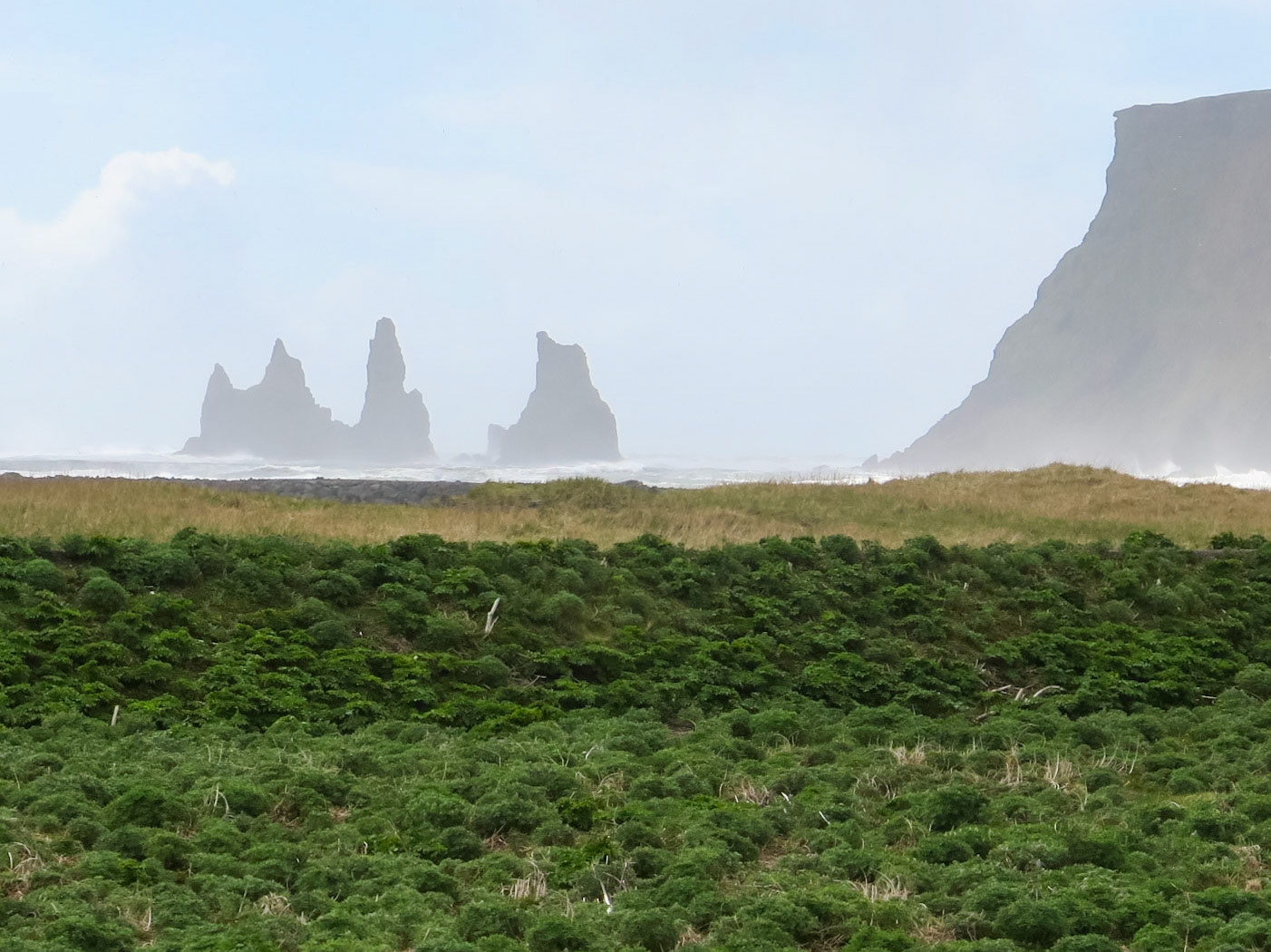 Reynisdrangar | (Vík)
