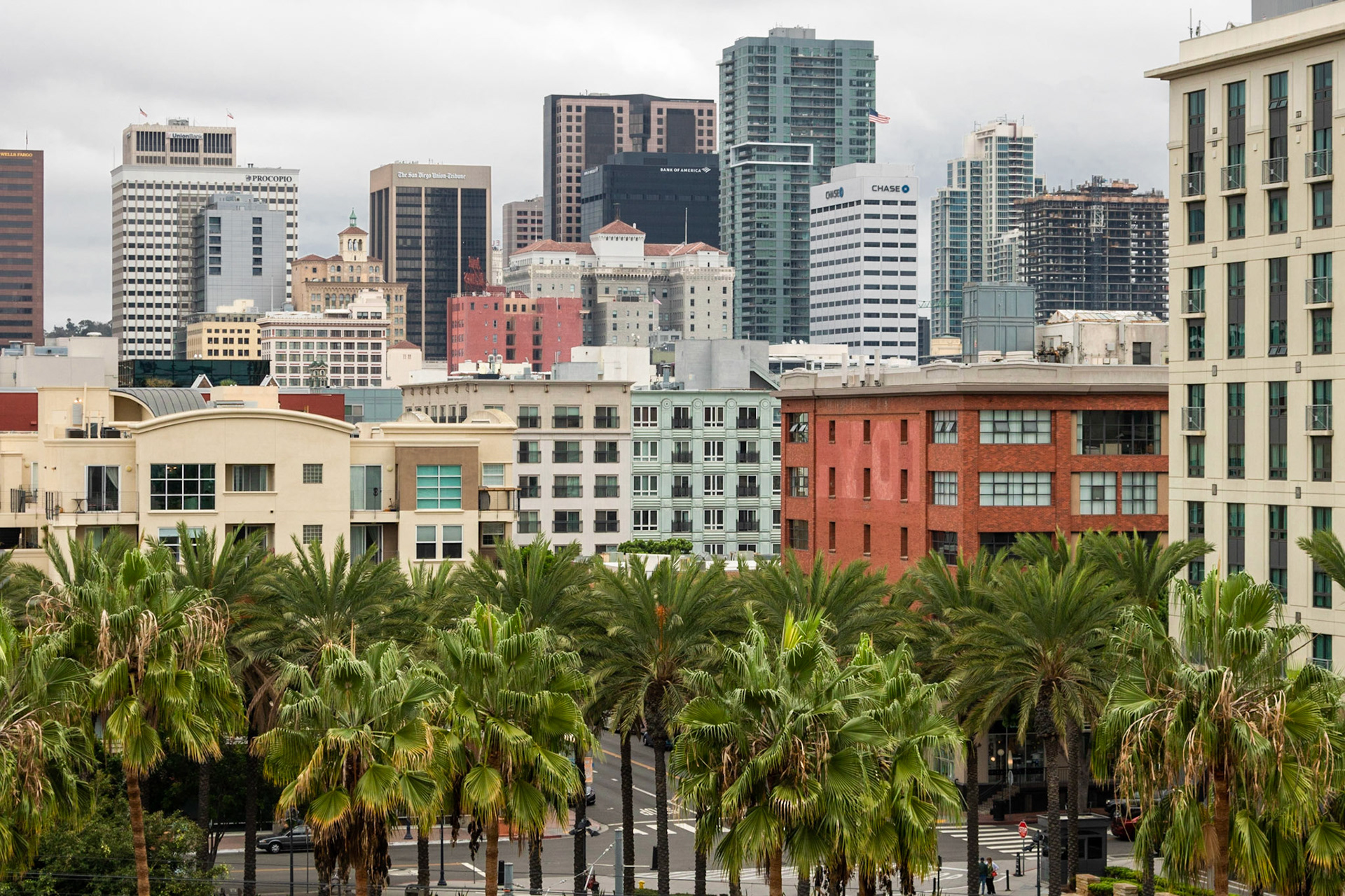 Urban Tropics