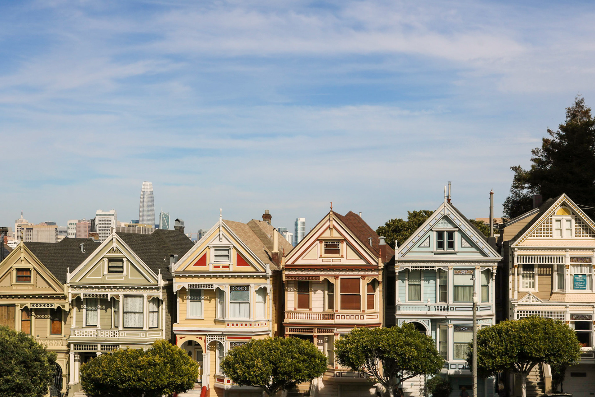 Perfectly Pastel | (Painted Ladies)