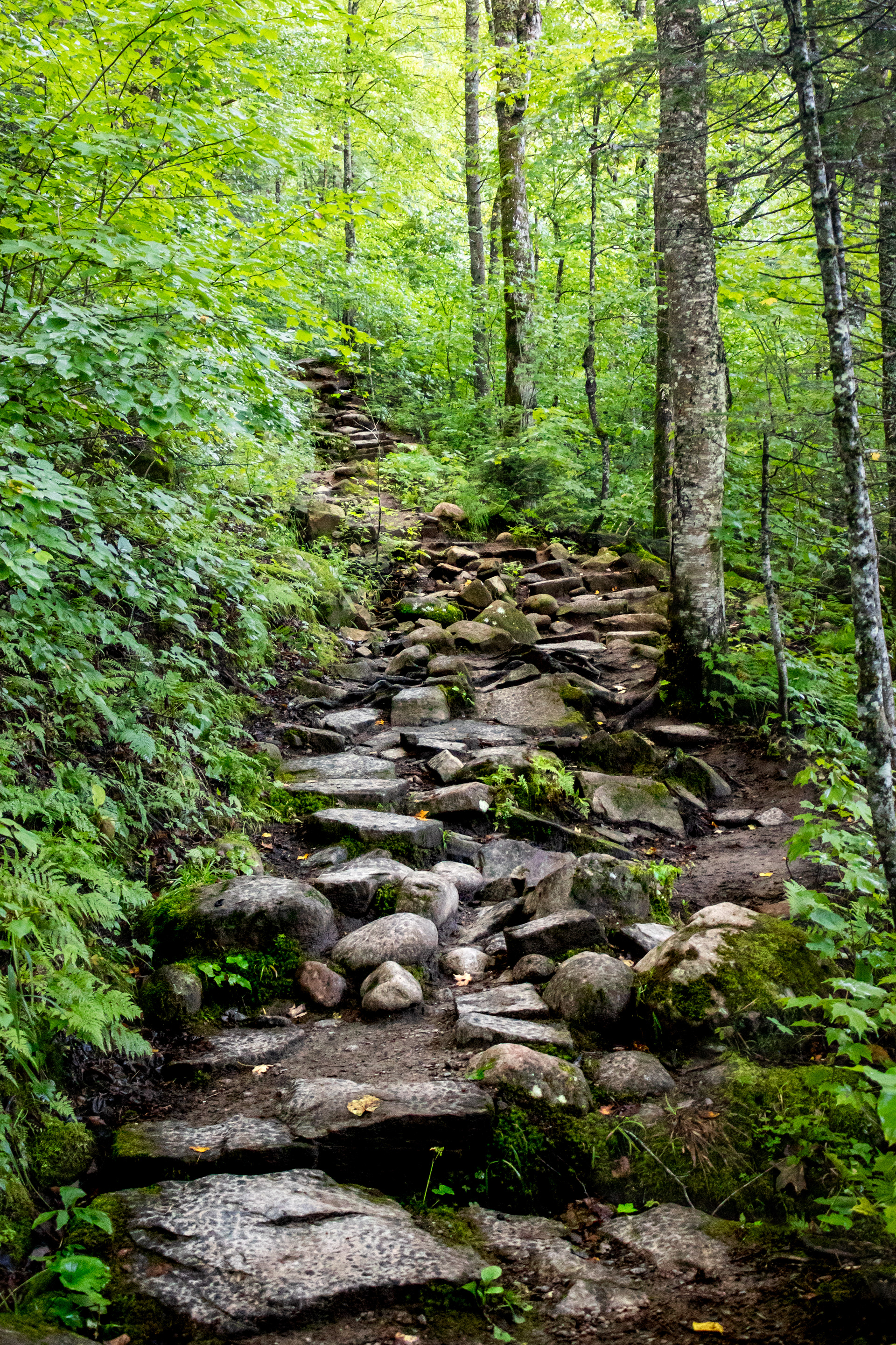 Are We There Yet? | (Jacques Cartier National Park, Canada)