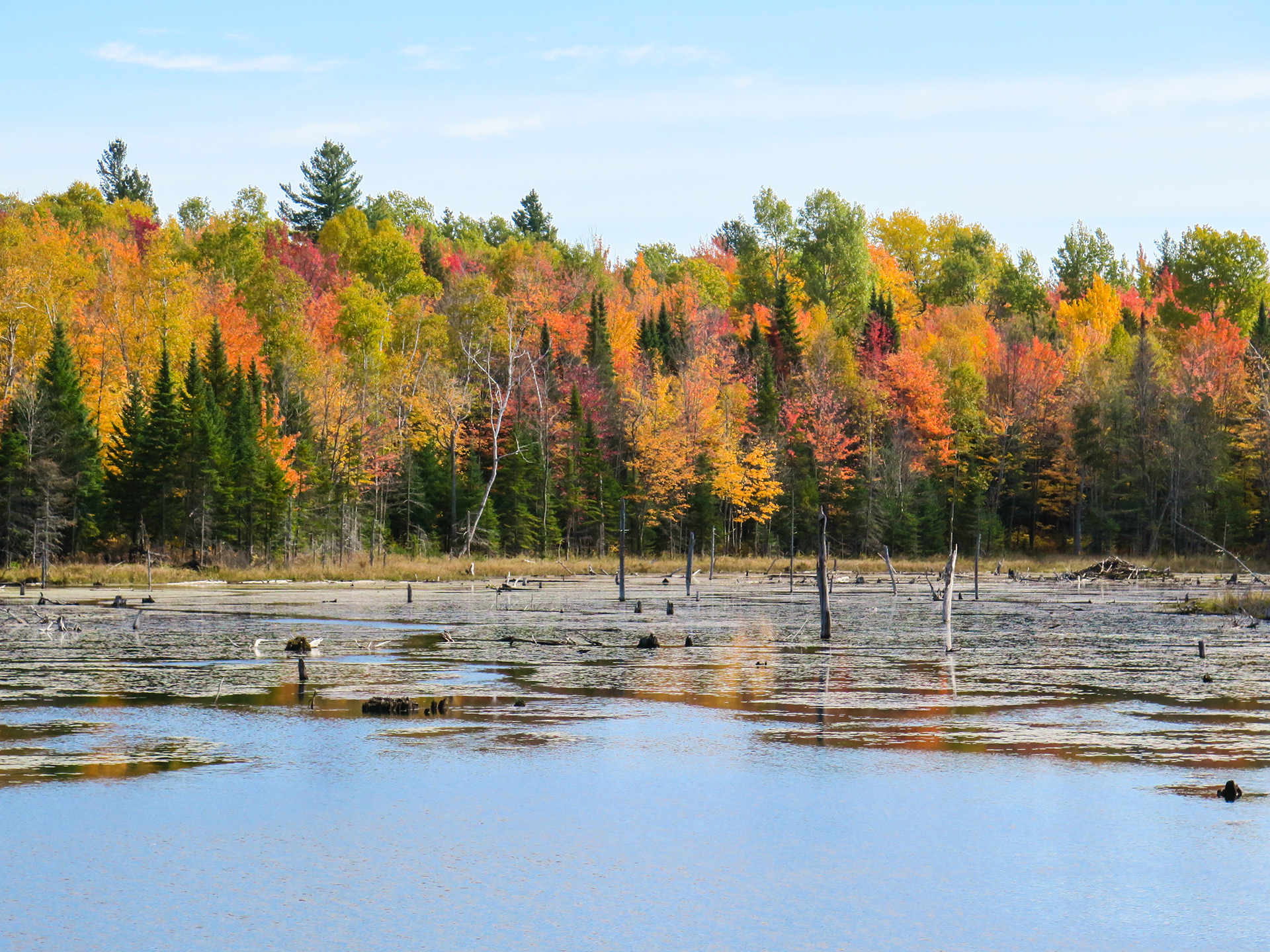 Rainbow Row | (Orford, Canada)