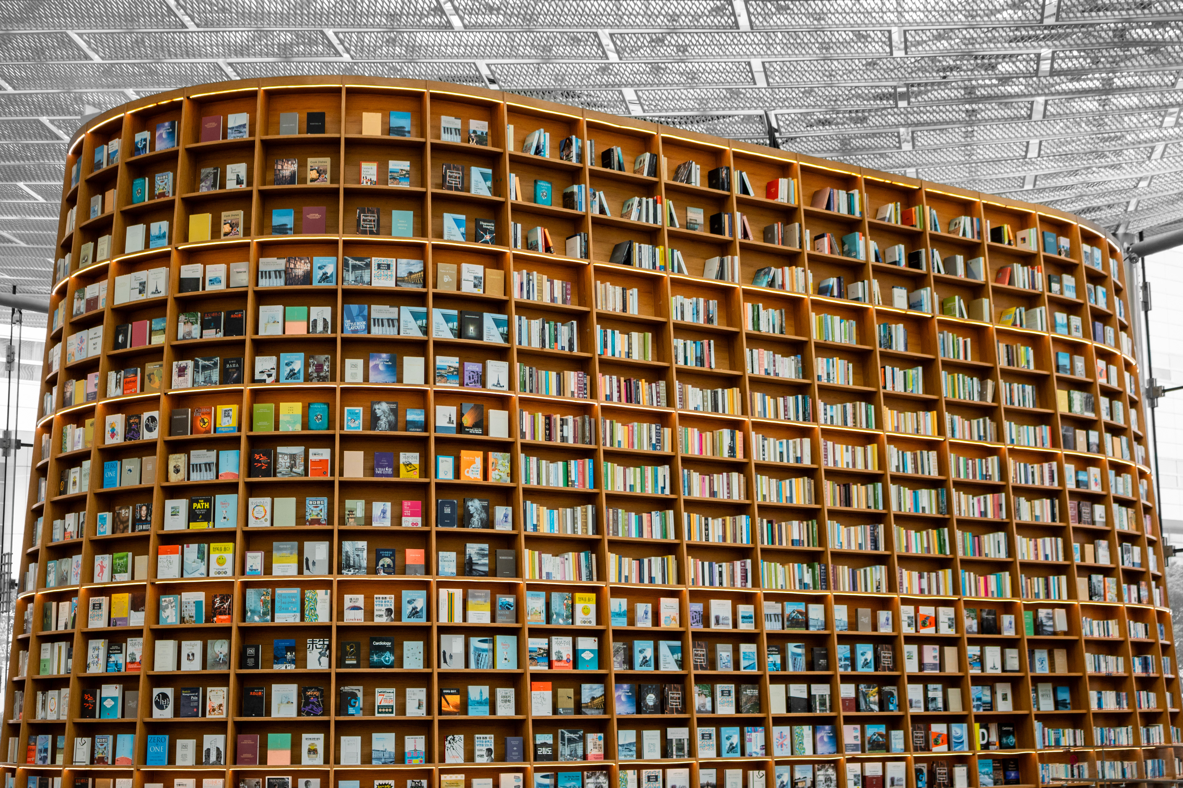 Book Break | (Starfield Library)
