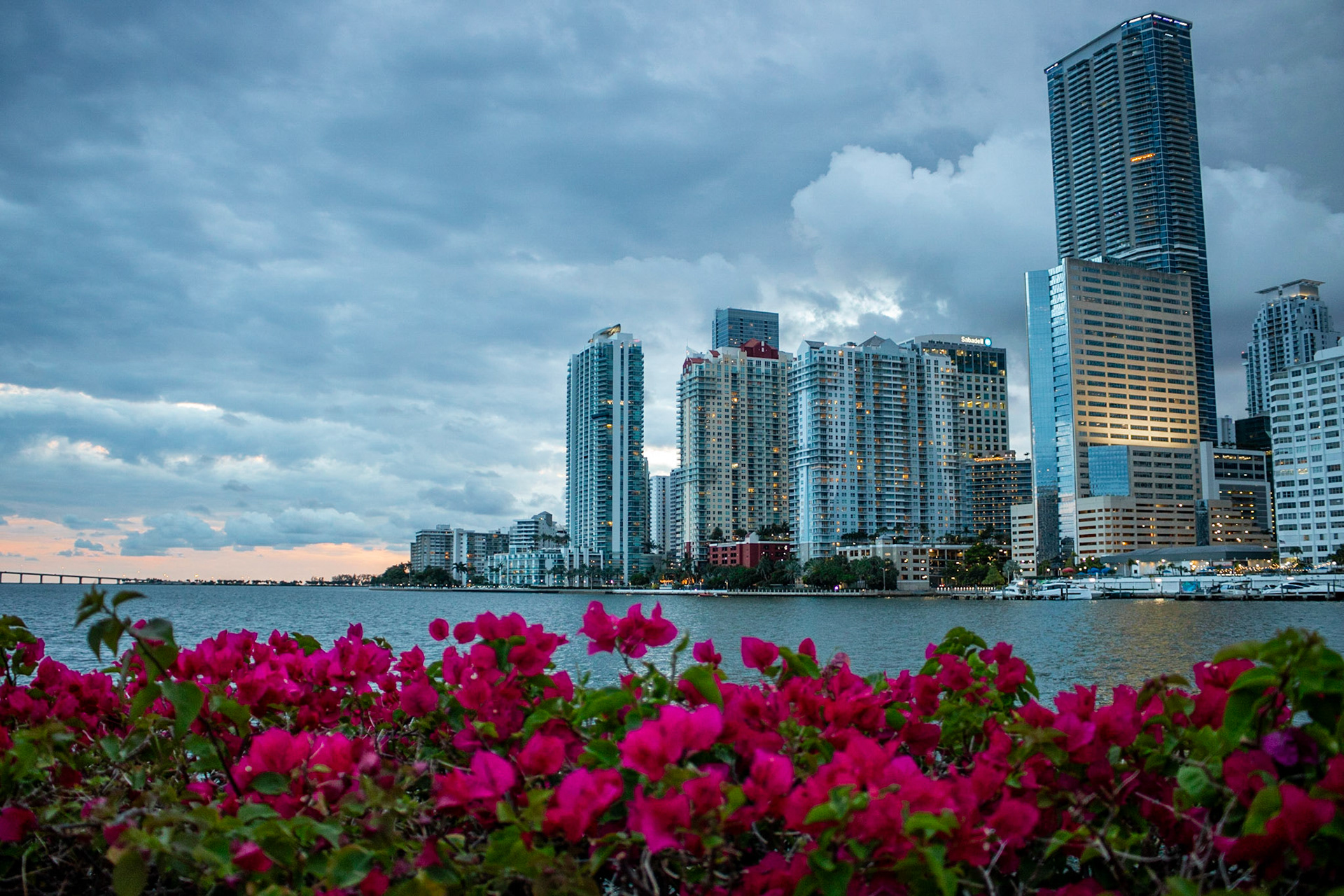 Shrub Hub | (Brickell Key)