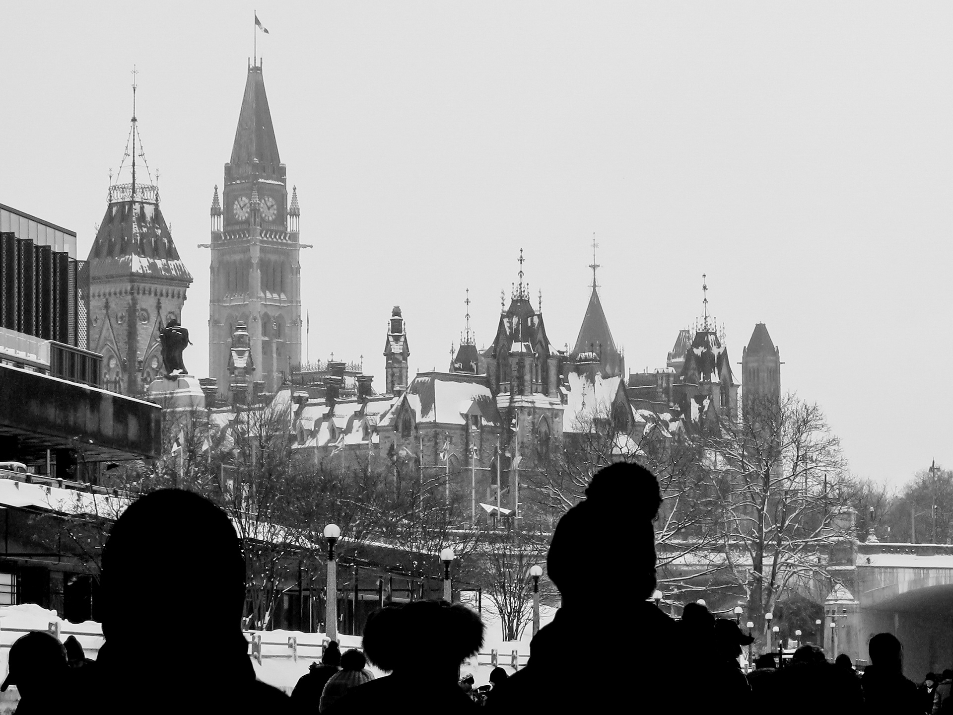 Stop and Stare | (Ottawa, Canada)