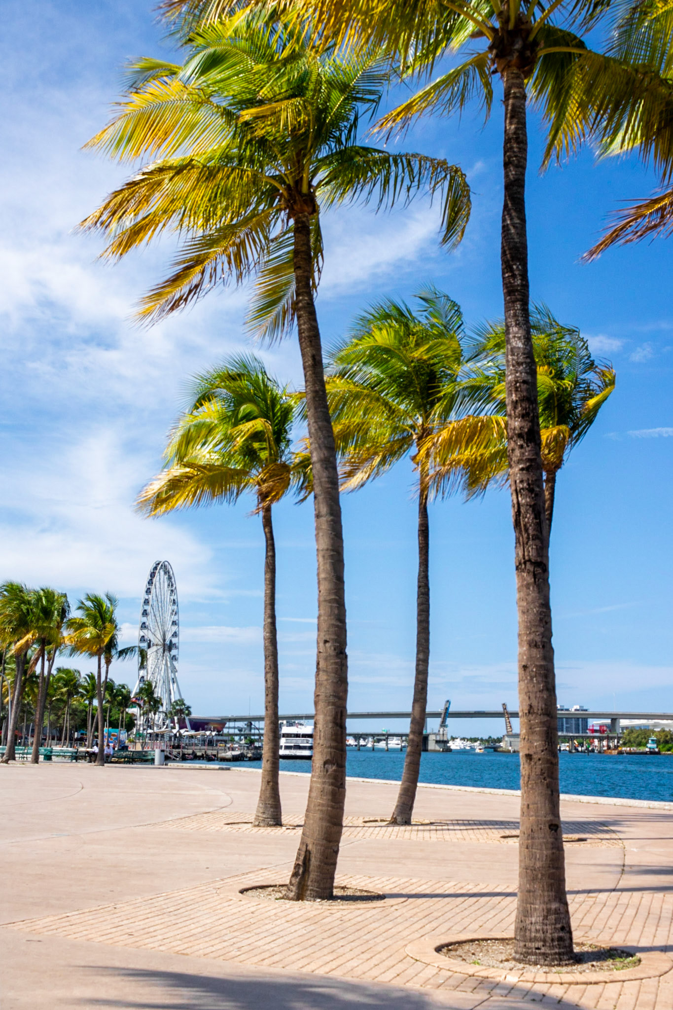 The Gust | (Bayfront Park)