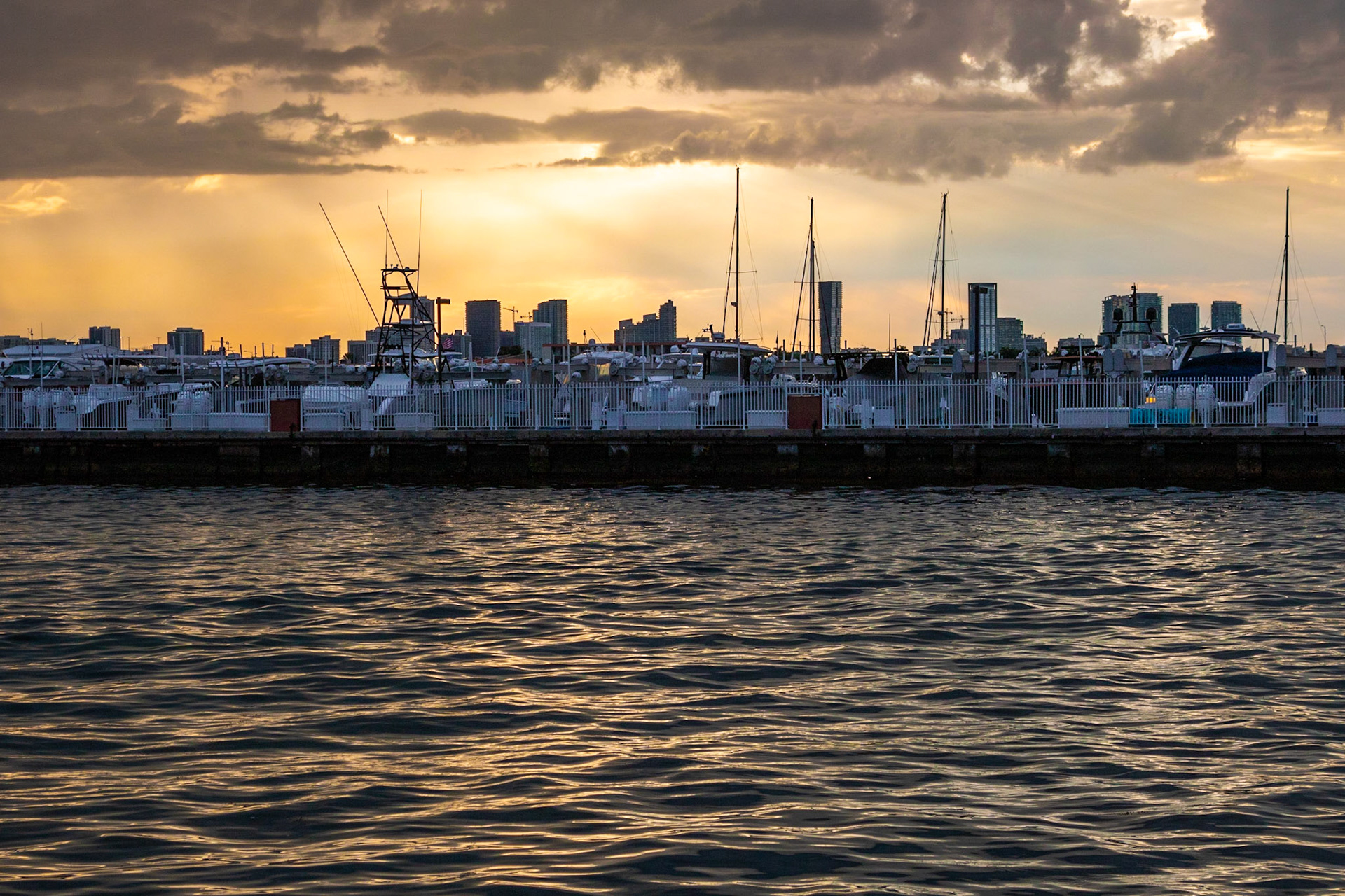 Bay of Rays | (South Pointe Park)